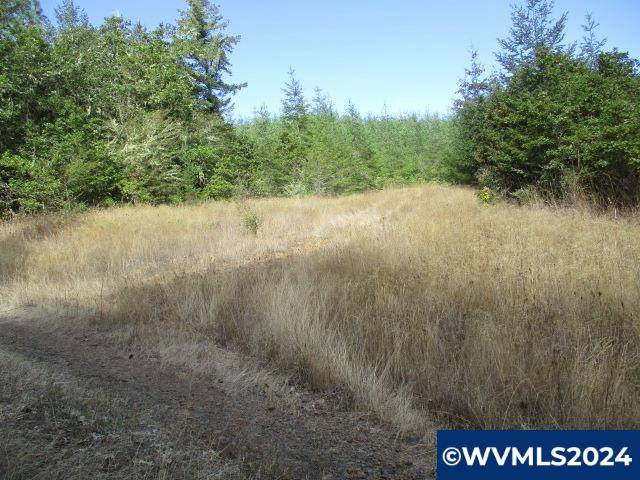 Lebanon, OR 97355,0000 Bellinger Scale (4) Rd