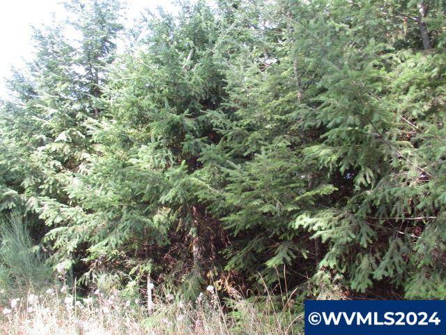 Yamhill, OR 97148,0000 Crane (4) Rd
