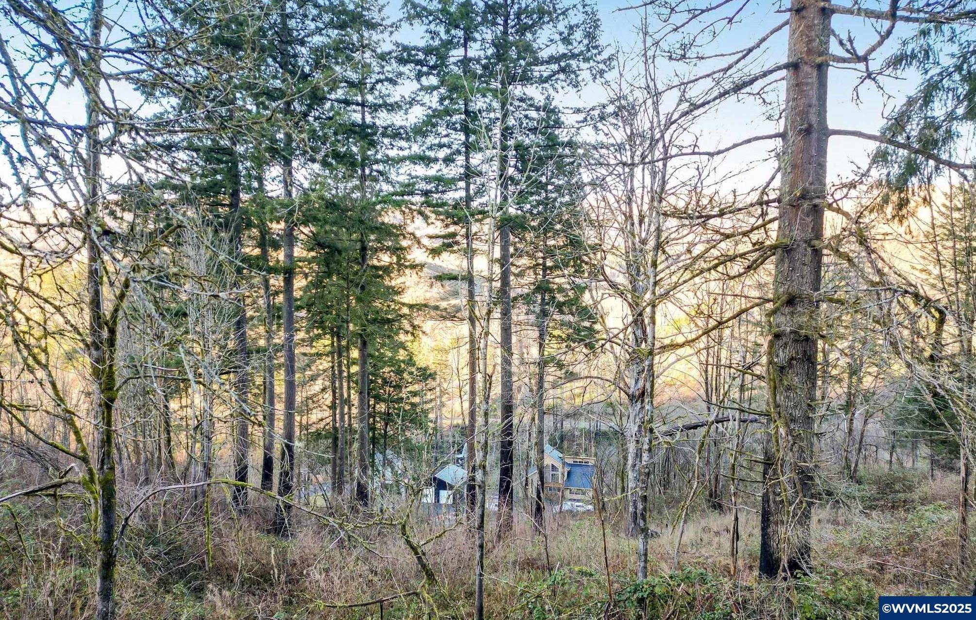 Lyons, OR 97358,11065 Winstanley Dr SE SE