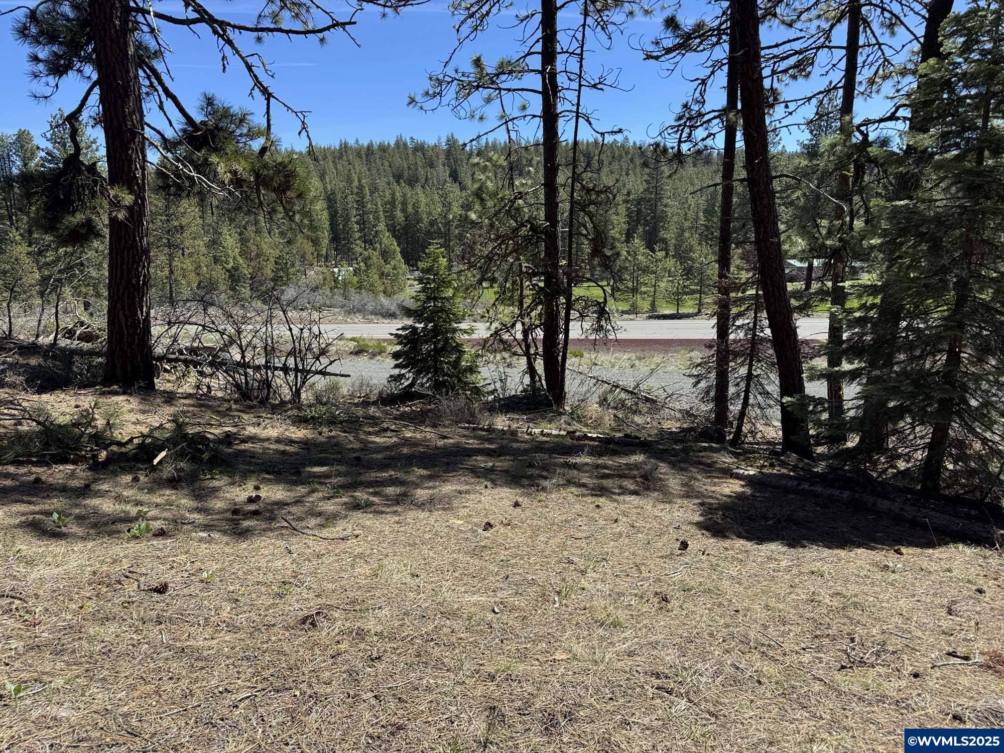 Bonanza, OR 97623,L-34 POR Horned Owl Ln