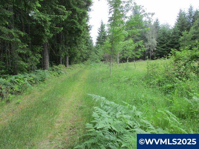 Estacada, OR 97023,00 Gruber South Rd