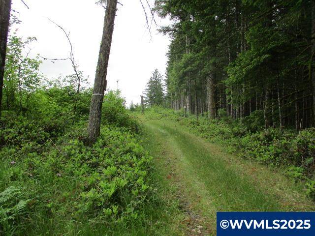Estacada, OR 97023,00 Gruber South Rd