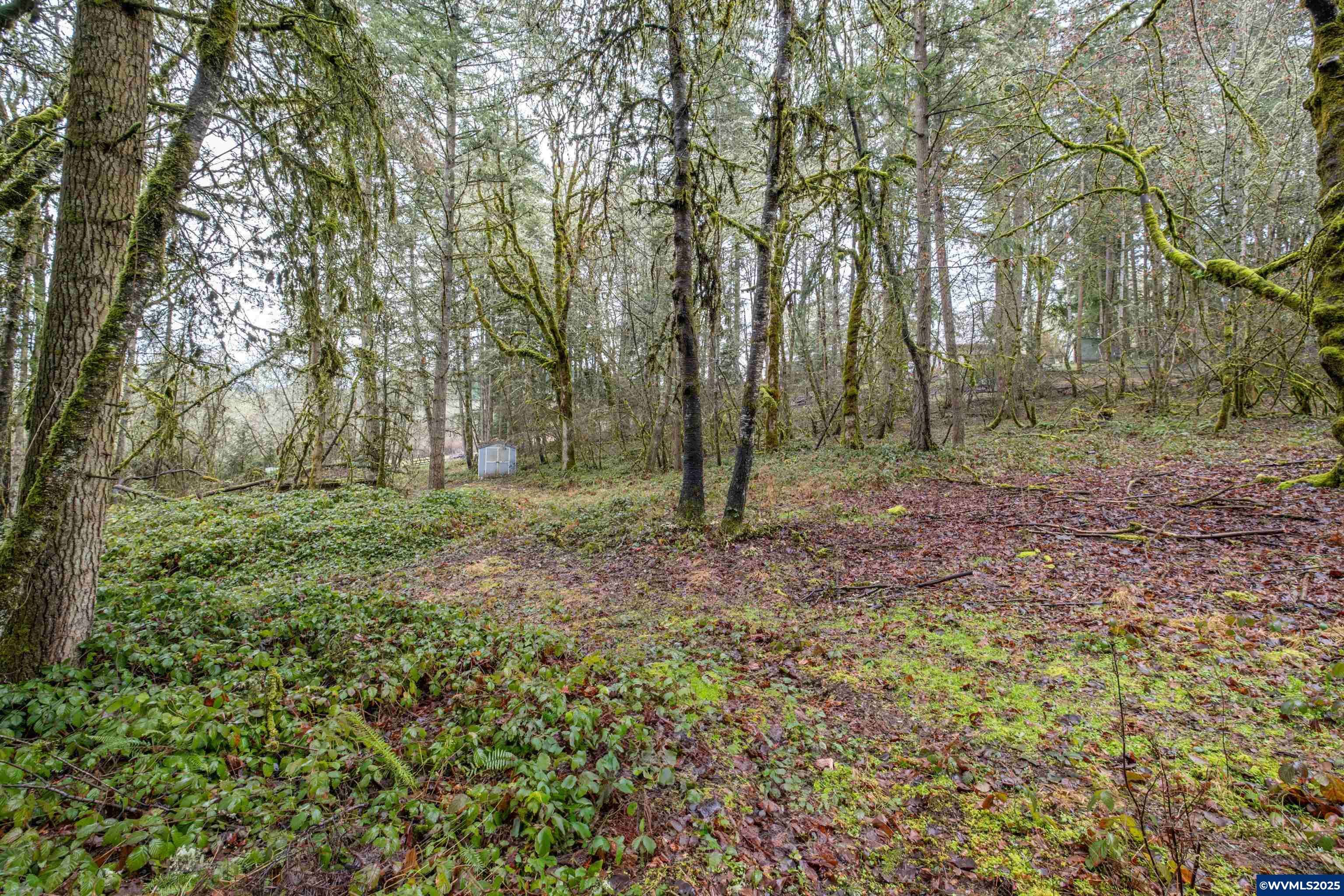 Lebanon, OR 97355,Pineway (Lot #2200) Rd