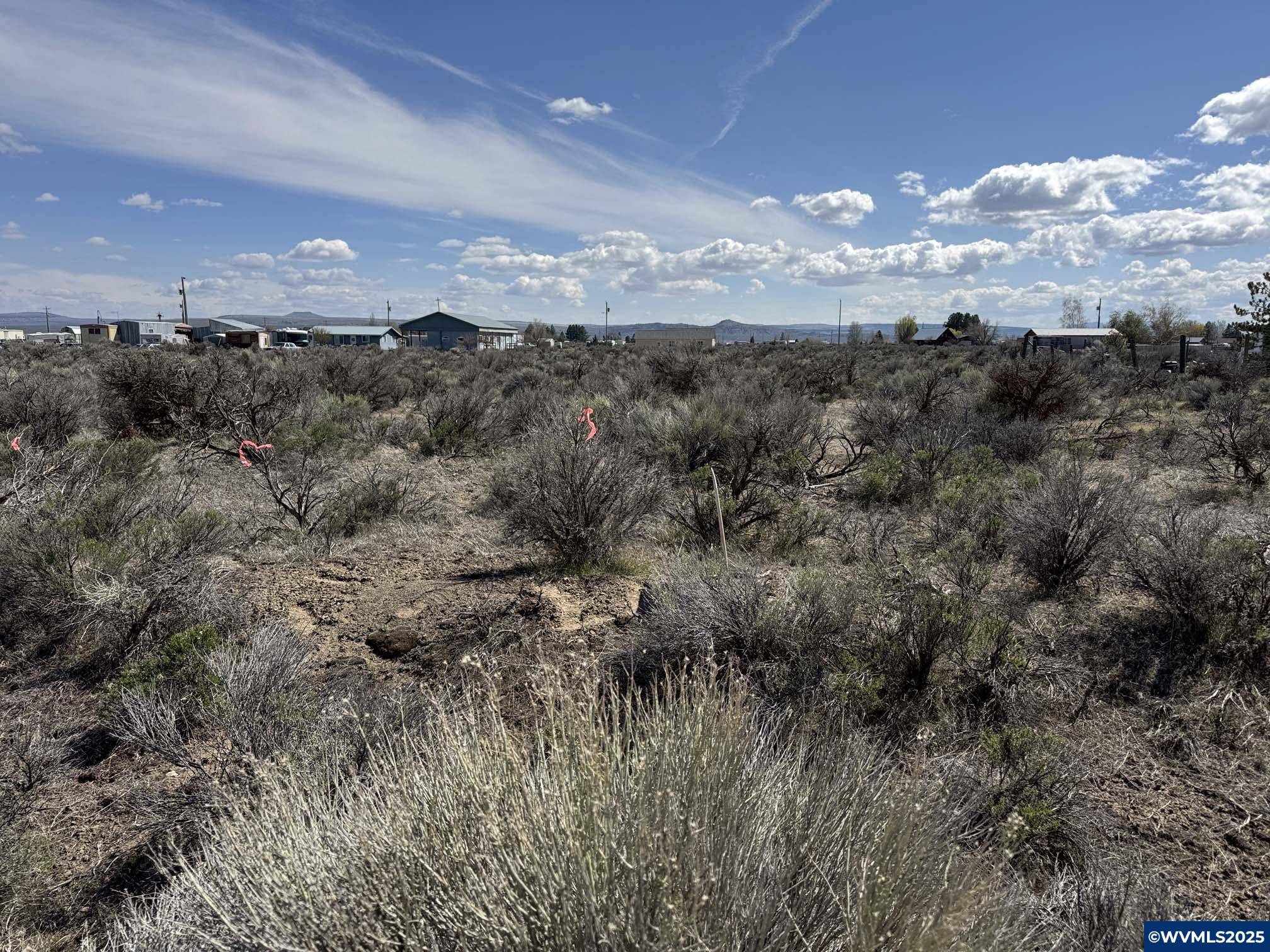 Christmas Valley, OR 97641,TL3800 Summer St