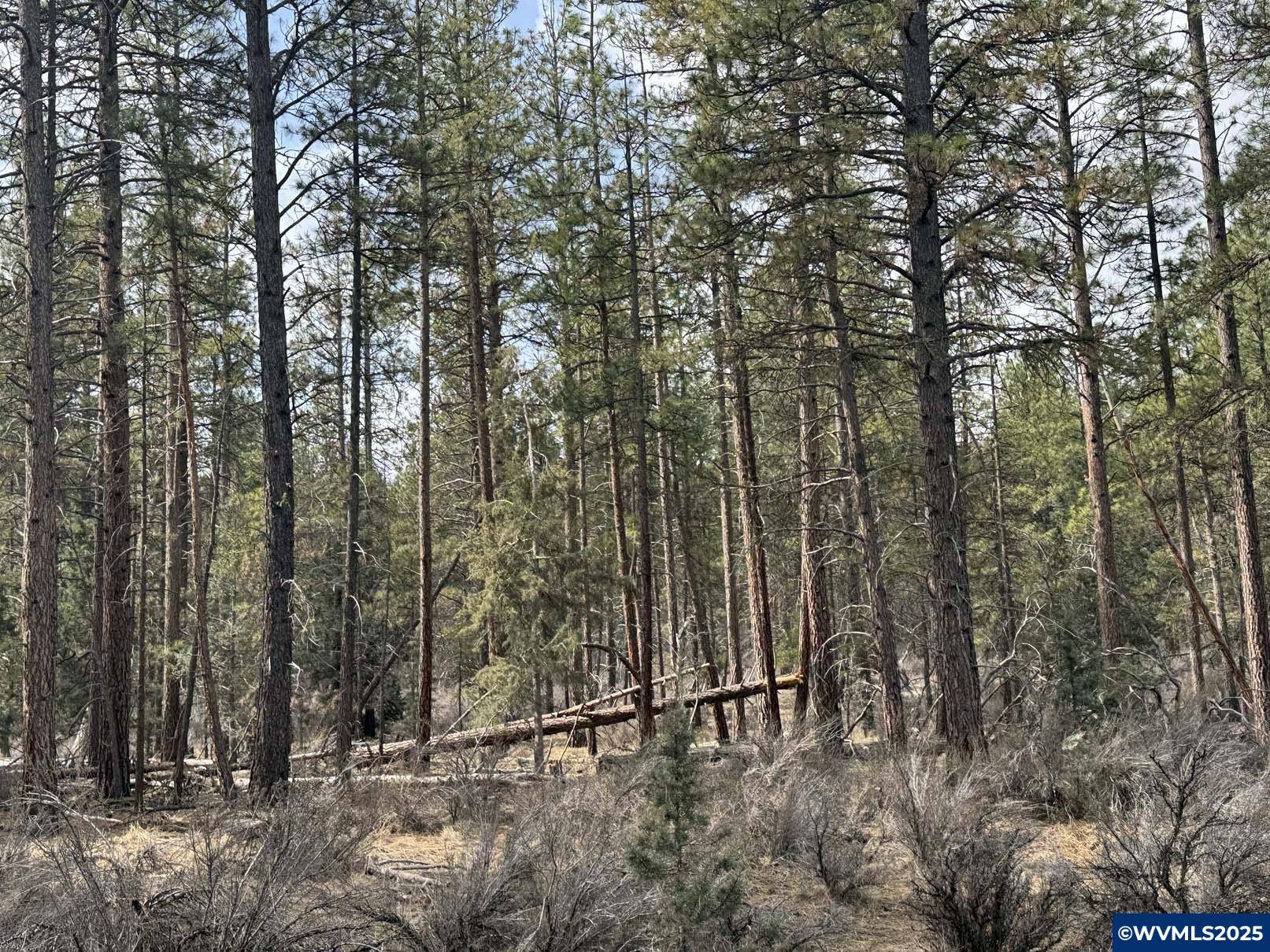 Bonanza, OR 97623,TL 10 Bufflehead Dr
