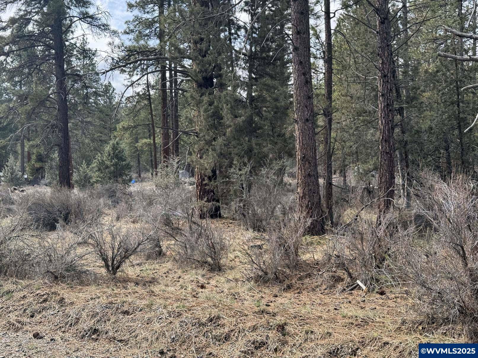 Bonanza, OR 97623,TL 10 Bufflehead Dr
