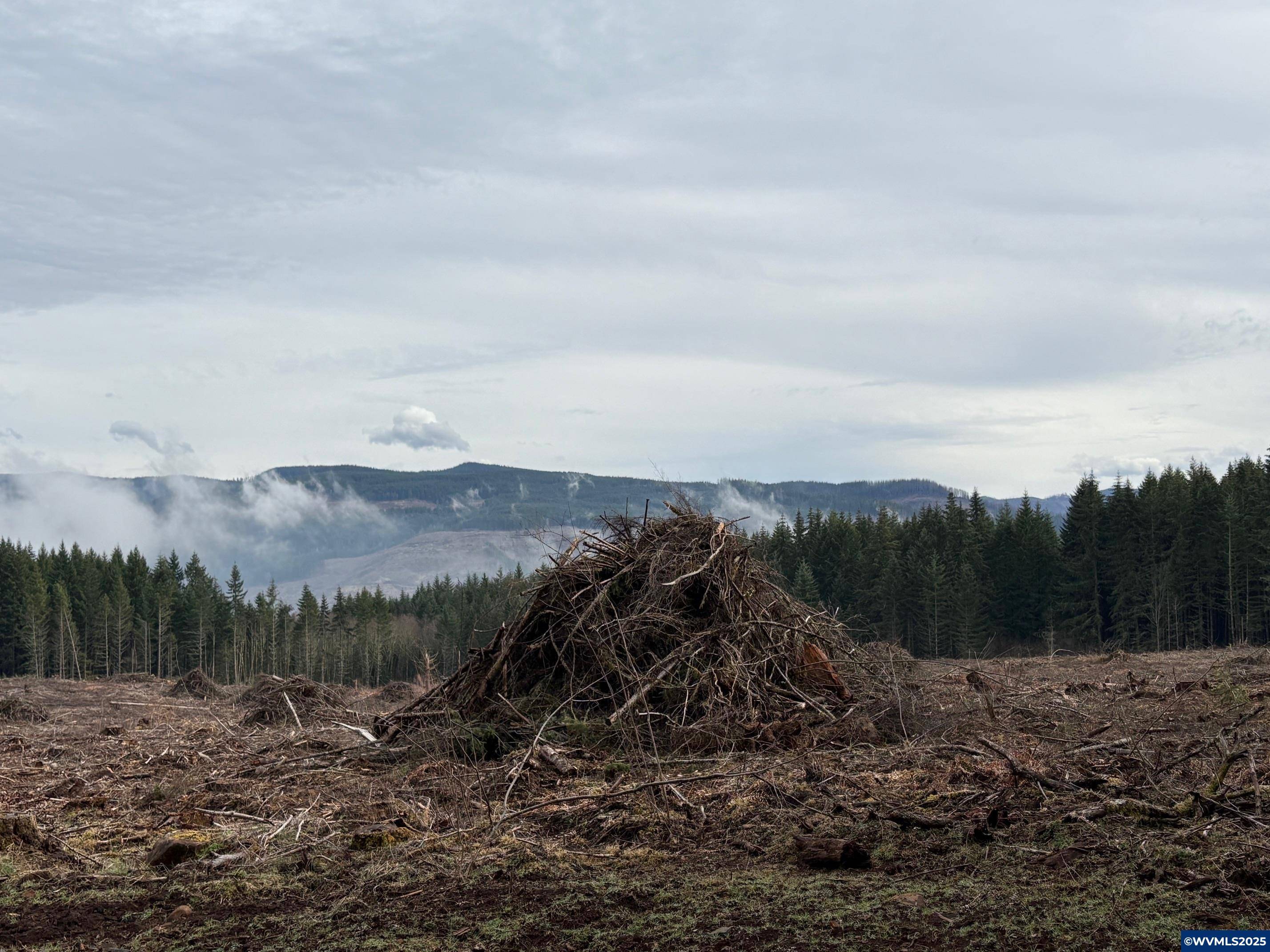 Molalla, OR 97038,00 Hardy Rd