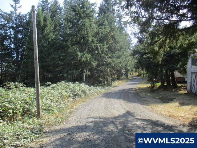 Scotts Mills, OR 97375,0 Hazelnut Ridge Rd