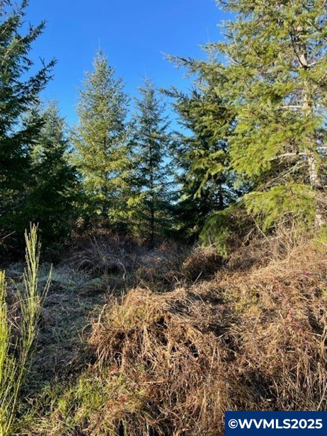 Sheridan, OR 97378,00 Buck Hollow (18) Rd