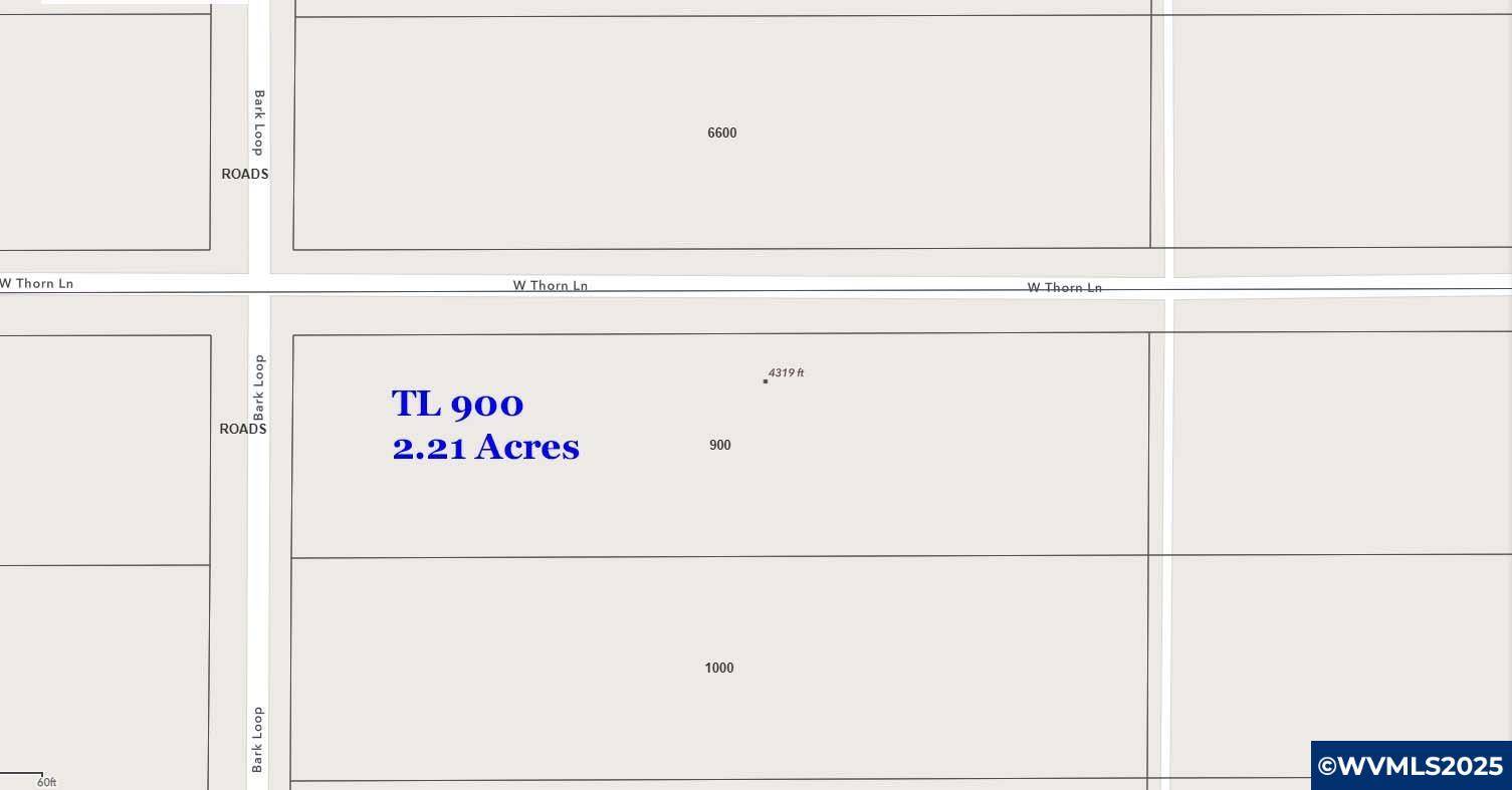 Christmas Valley, OR 97641,TL 900 W Thorn Ln