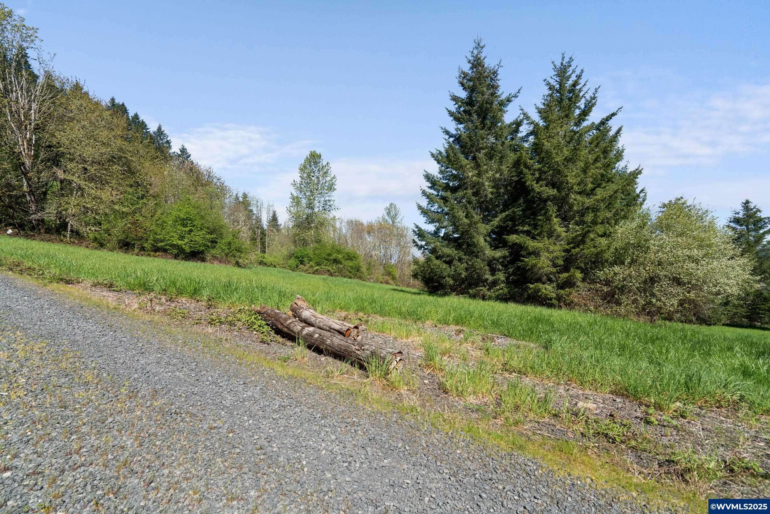Sweet Home, OR 97386,220 21st (Next To, Lot #3903) Av
