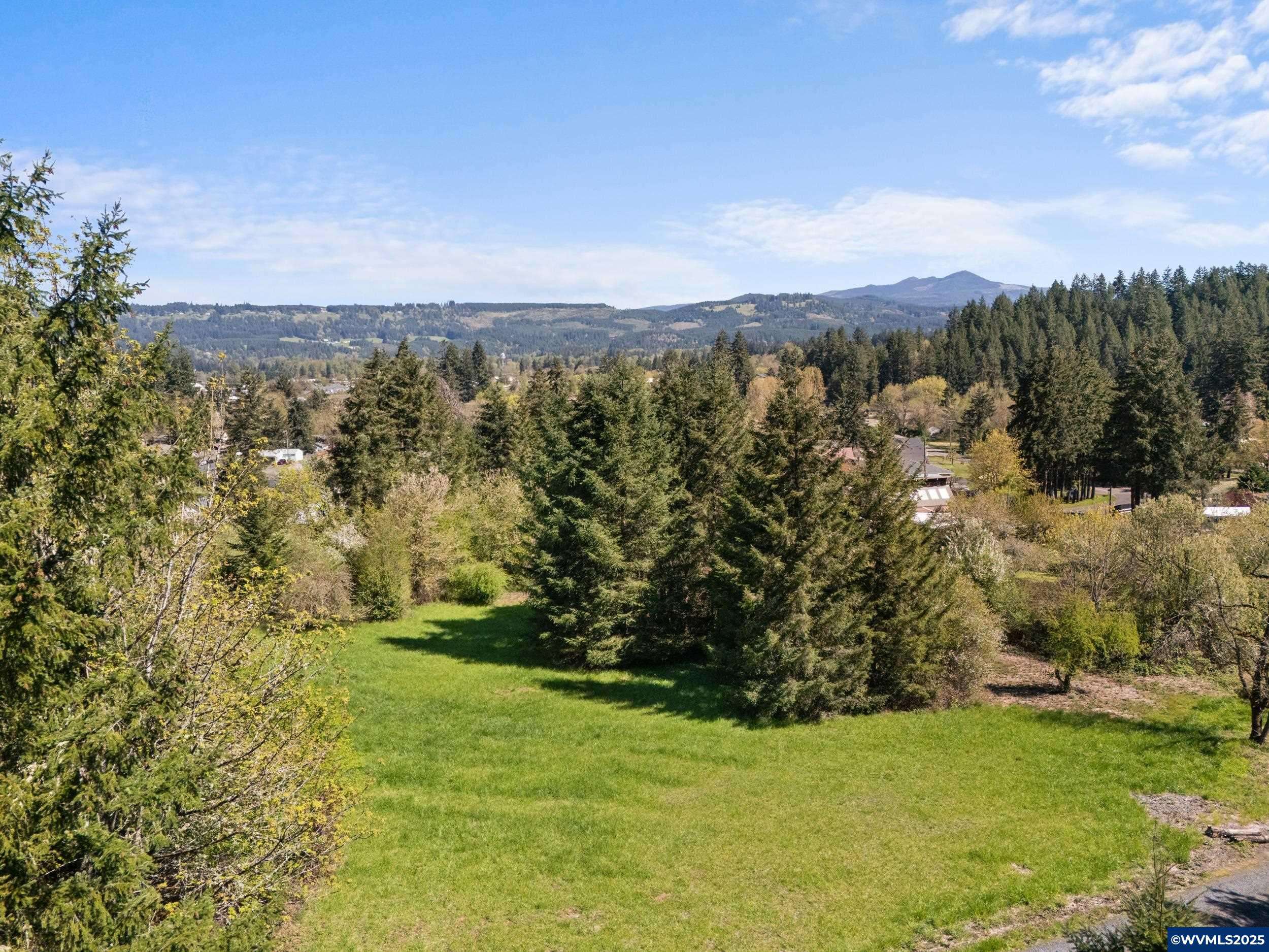 Sweet Home, OR 97386,220 21st (Next To, Lot #3903) Av