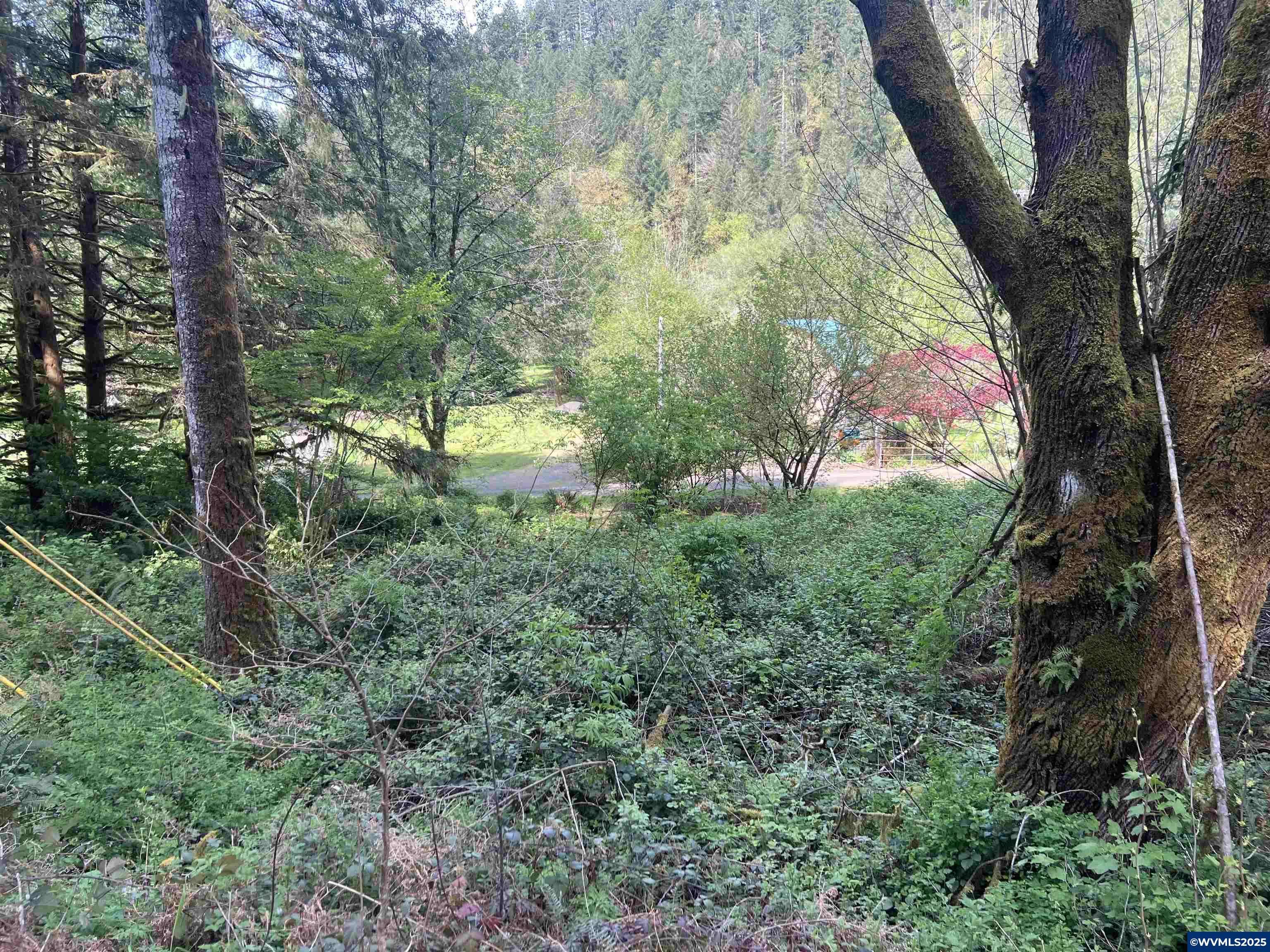 Alsea, OR 97324,* Alsea Hwy
