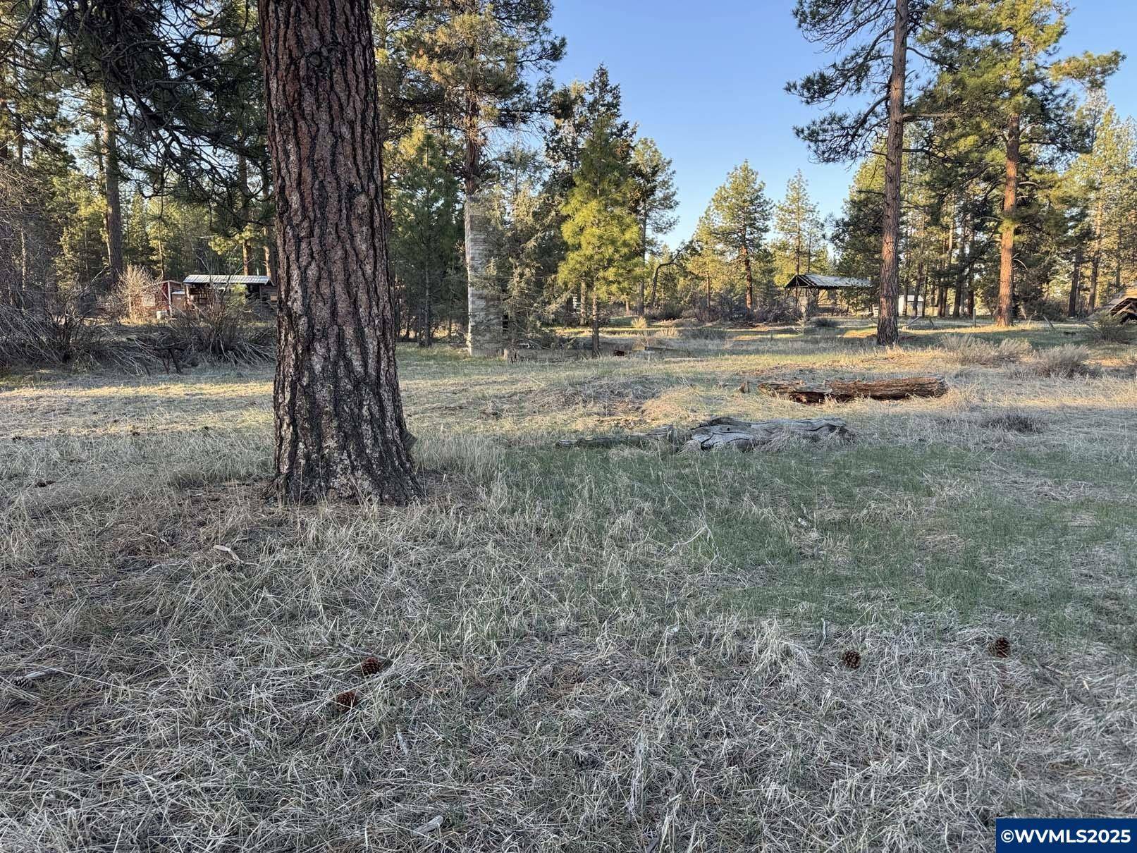 Sprague River, OR 97639,TL 1400 8th Av
