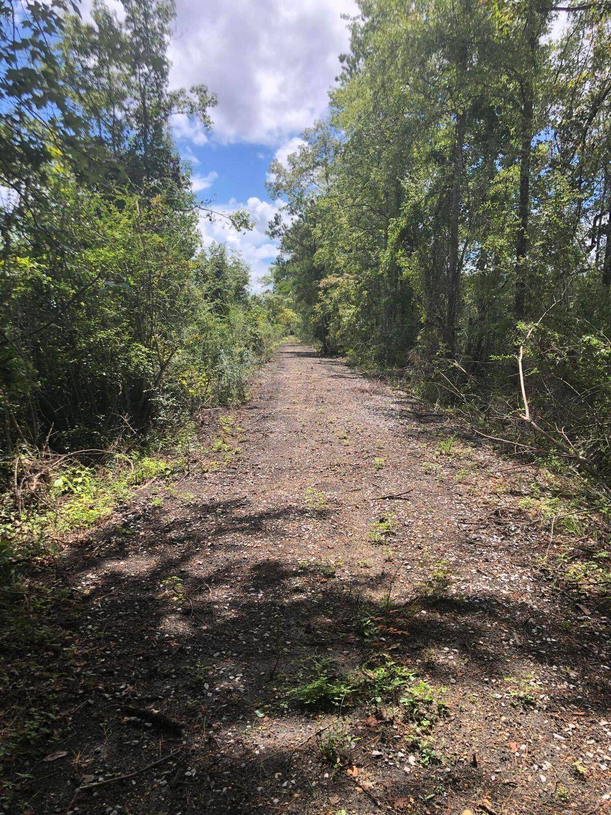 Columbia, MS 39429,Lot 8 River Rd.