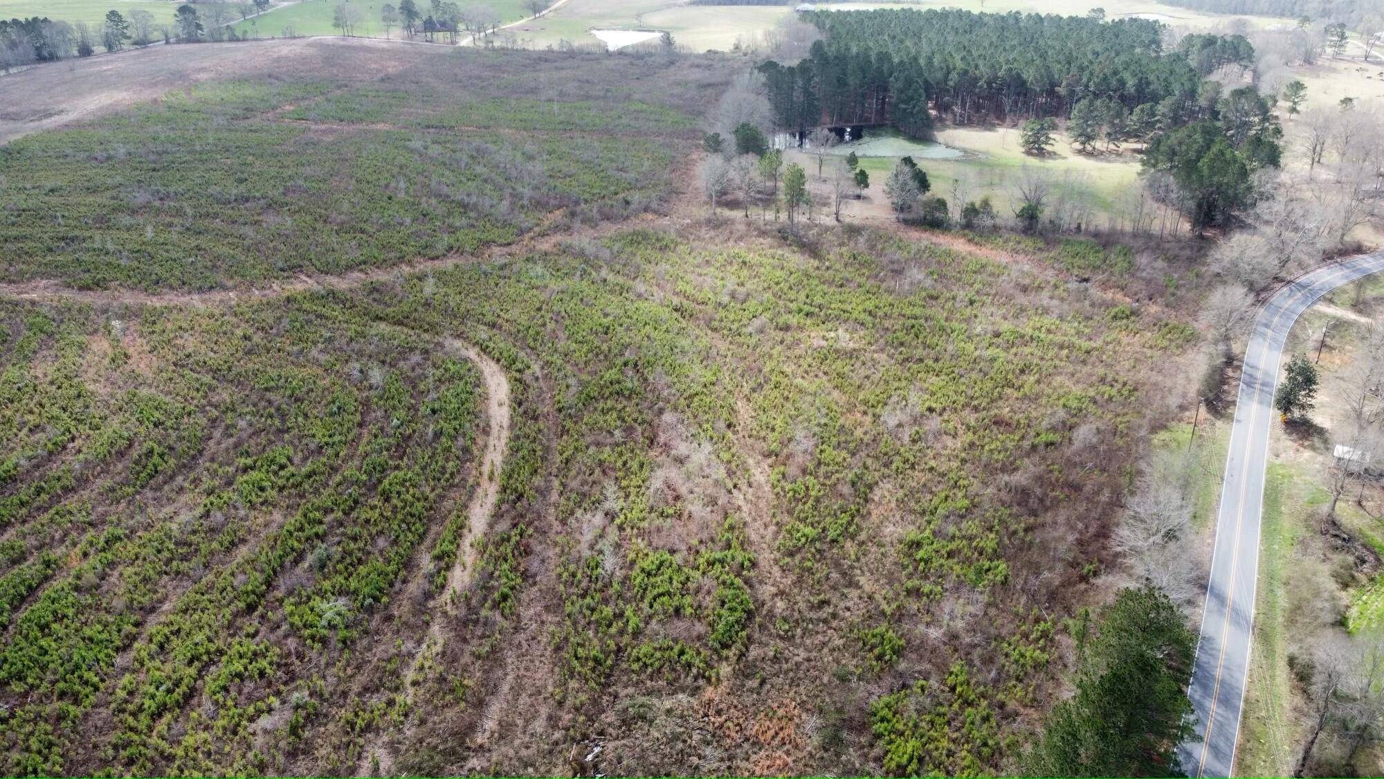 Magee, MS 39111,0 Dry Creek Road #2 Lot 2