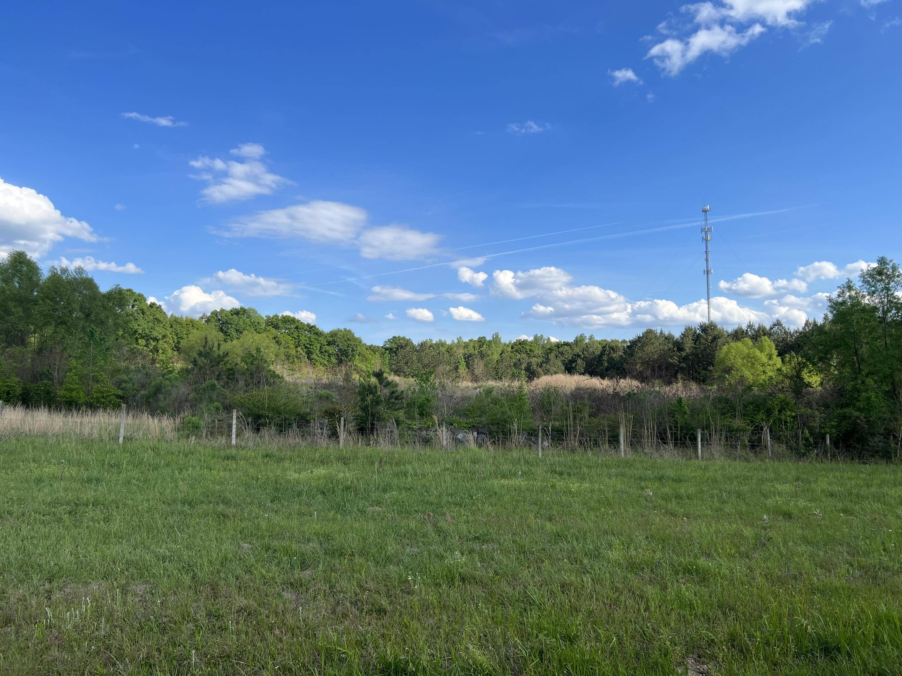 Ellisville, MS 39437,00 Clay St