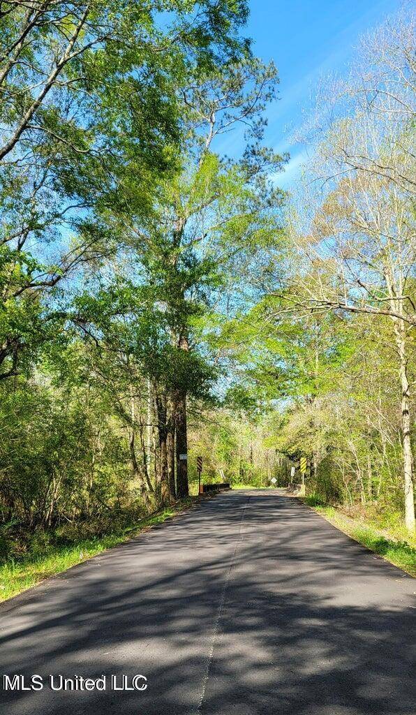 Poplarville, MS 39570,NHN Dupont Harts Chapel Rd.