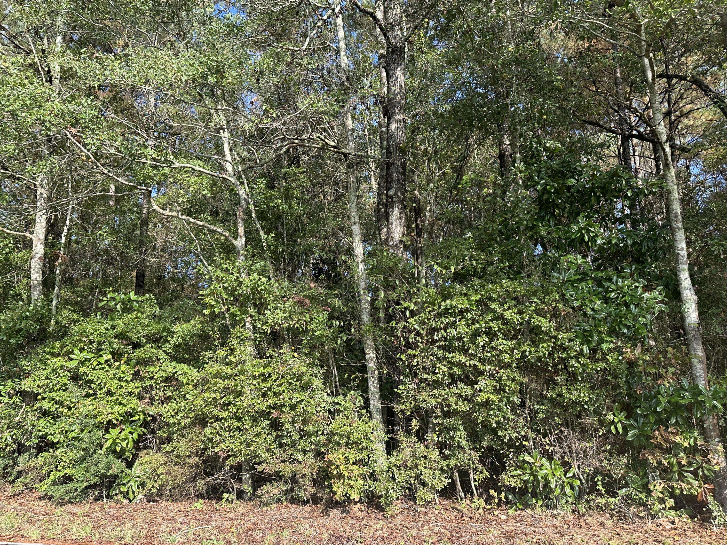 Laurel, MS 39443,00 Graham Dr.