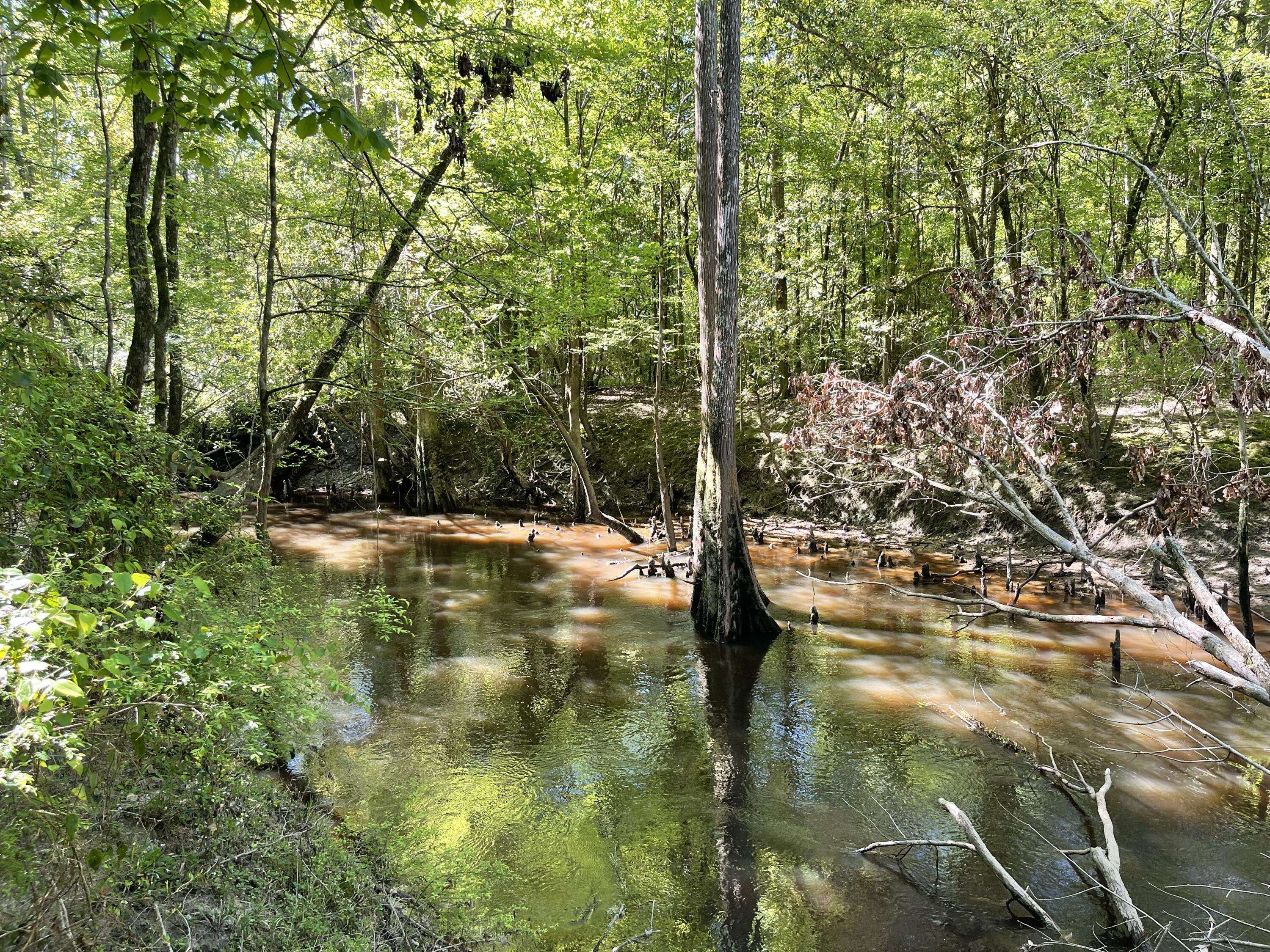 Richton, MS 39476,00 Dykes Chapel Rd.