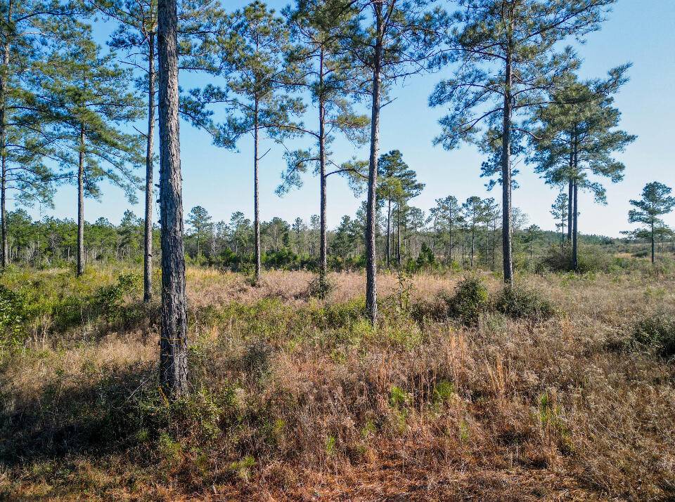 Ellisville, MS 39437,003 A Busby Rd.