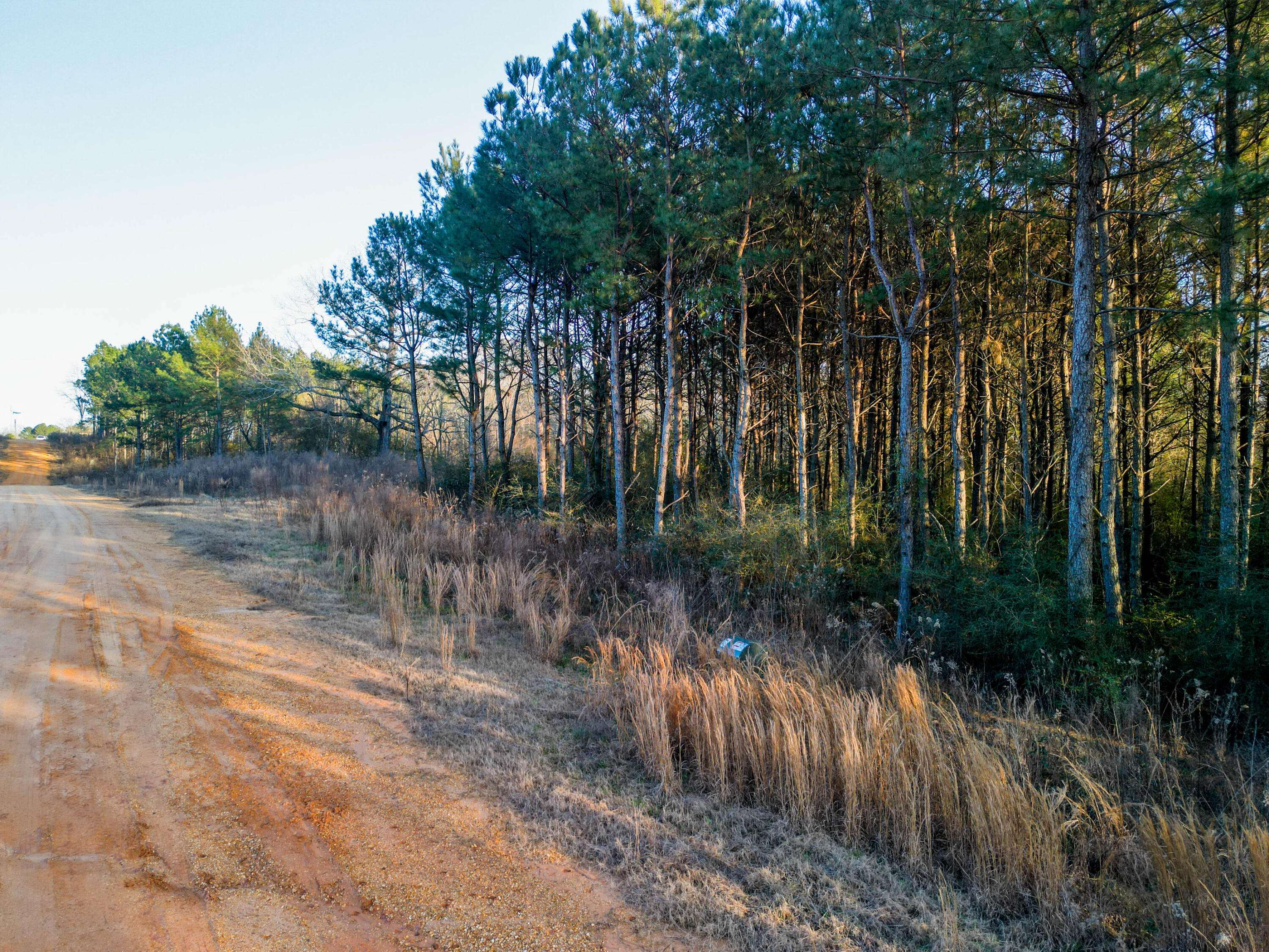 Ellisville, MS 39437,LOT 5 Bella Drive
