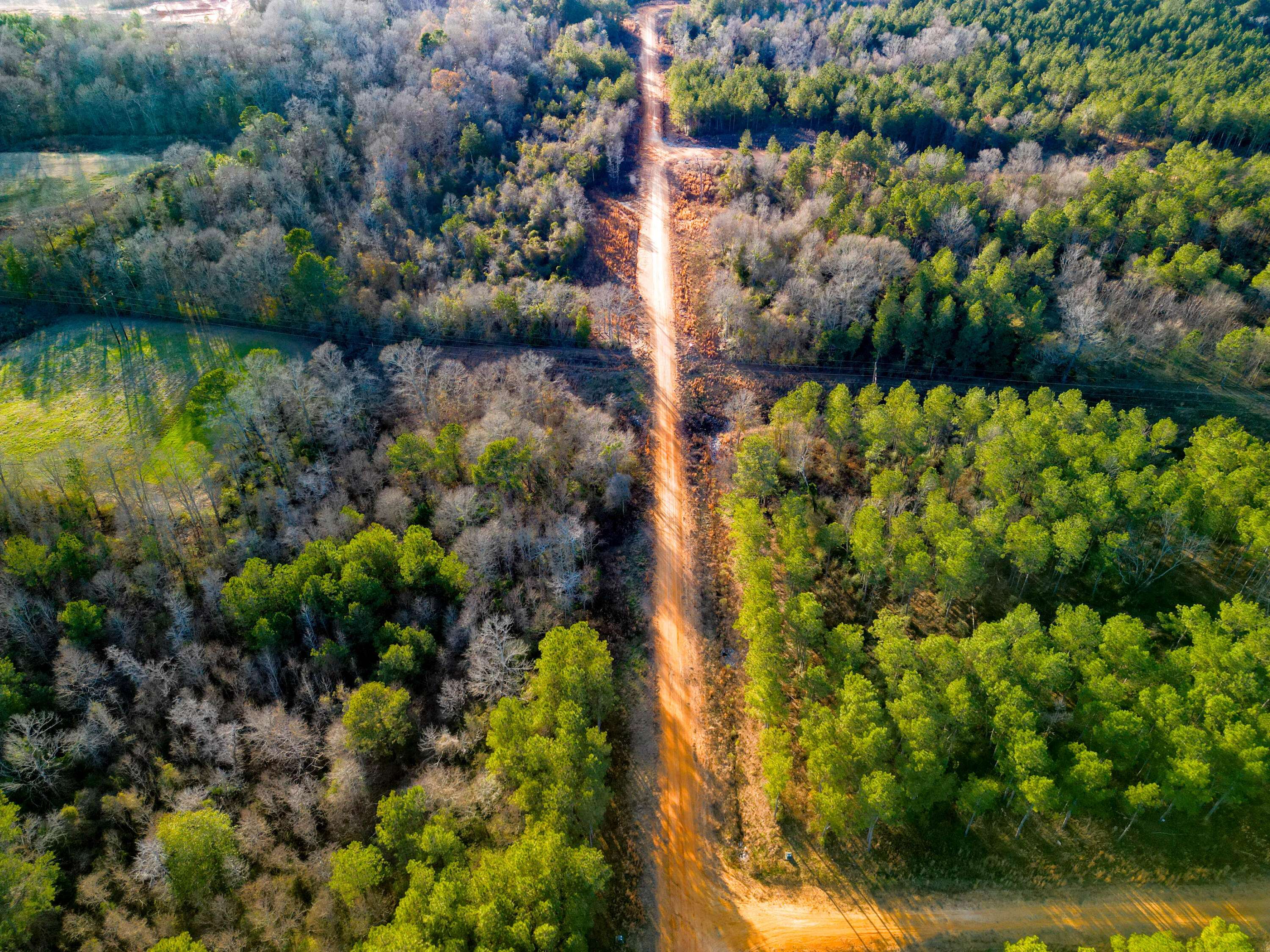 Ellisville, MS 39437,LOT 5 Bella Drive