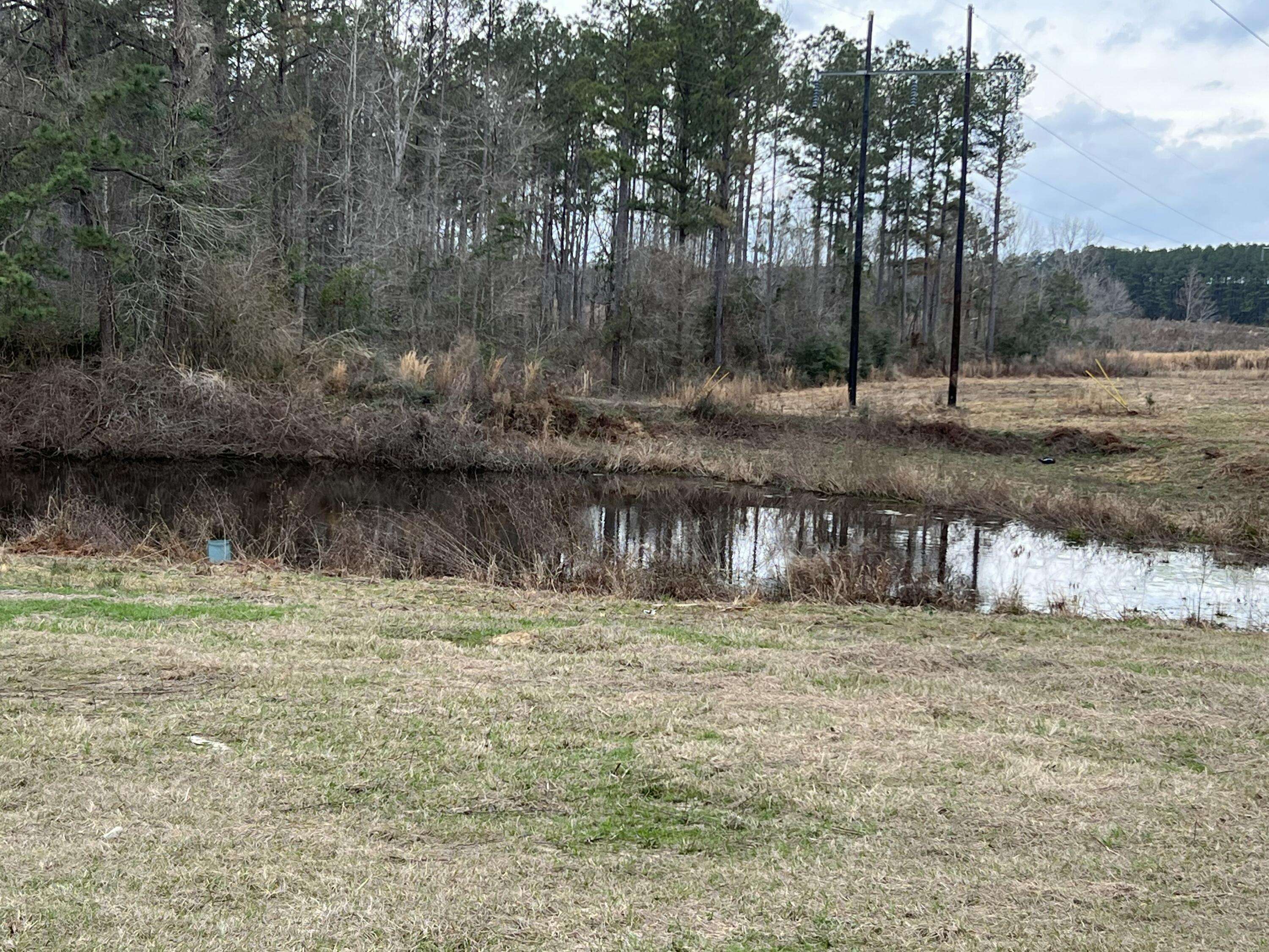 Columbia, MS 39429,241 Stuckey Rd.