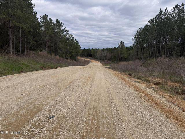 Mize, MS 39116,0 Brumley Ln.