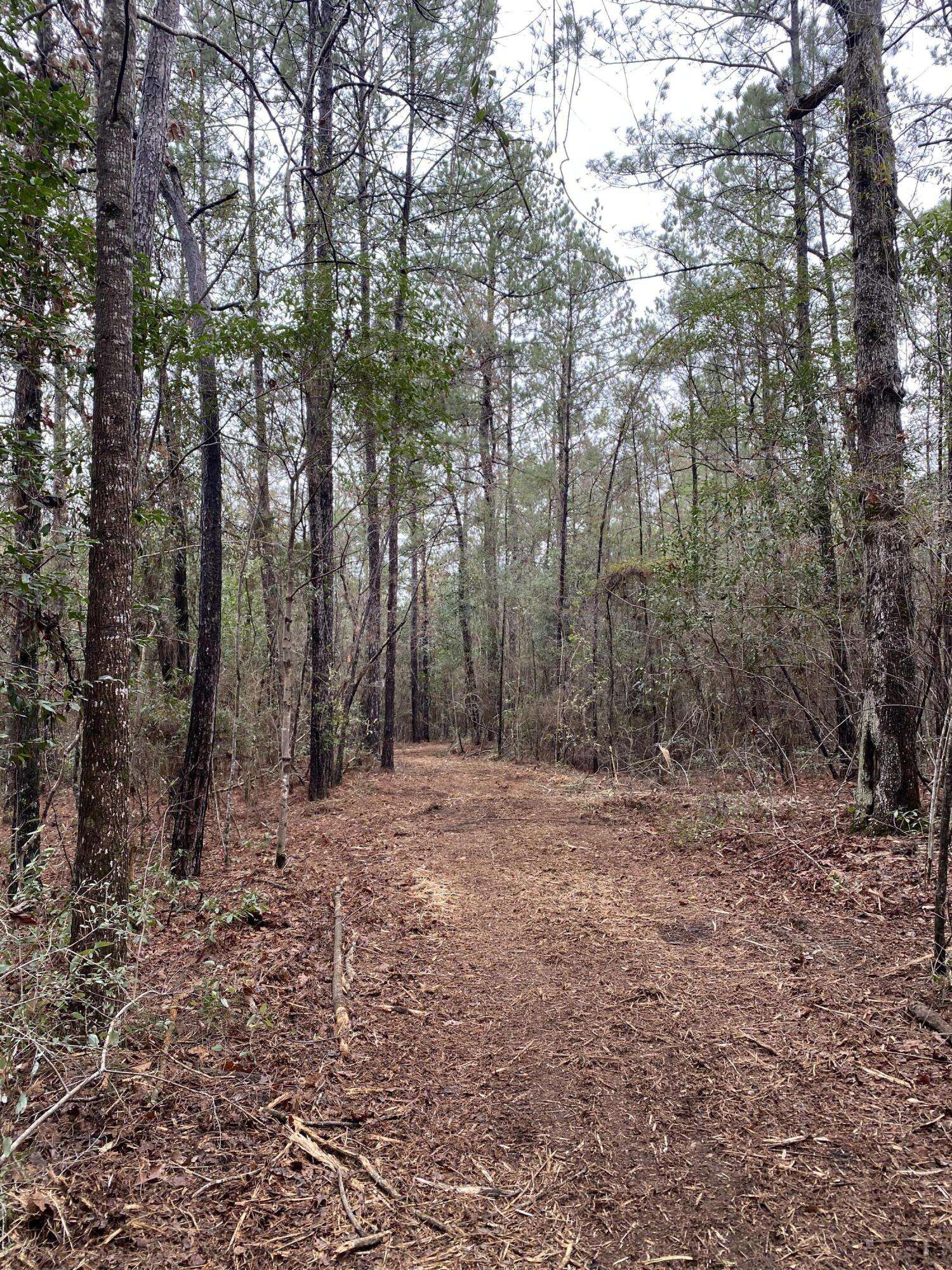 Purvis, MS 39475,20.98 Acre Rockhill Rd.