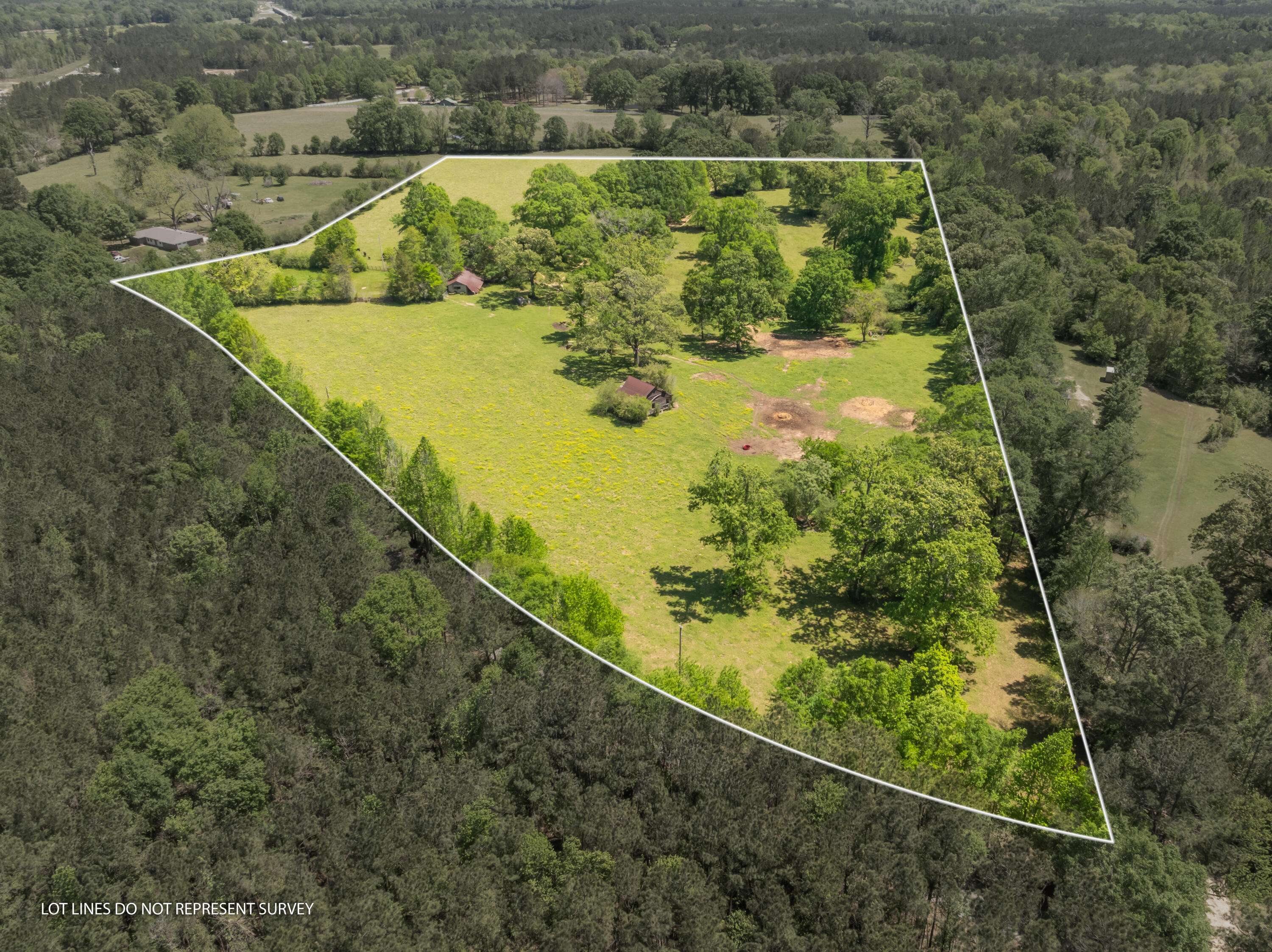 Petal, MS 39465,Parcel D Hendry Drive