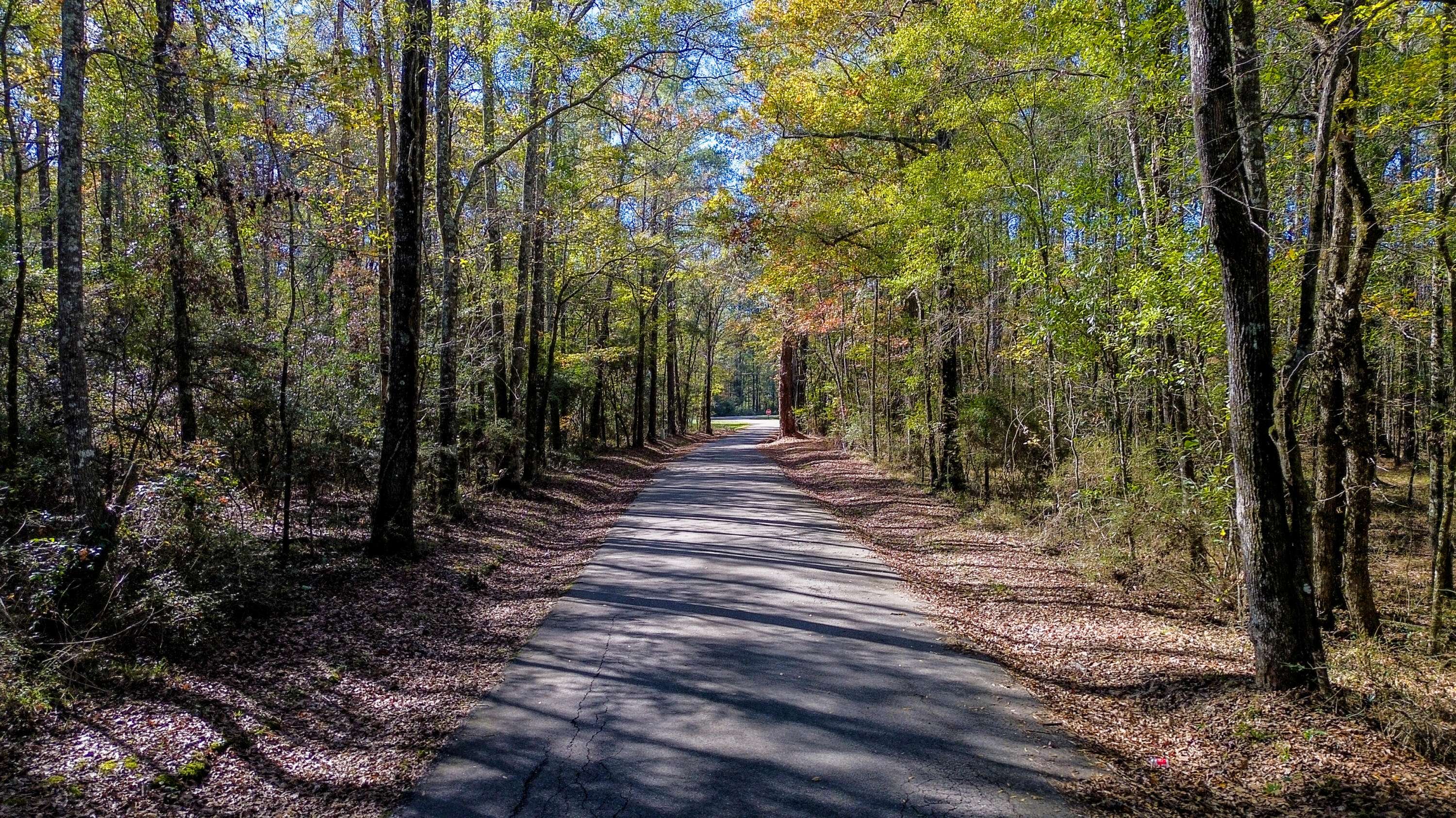 Soso, MS 39480,00 Dickie Rd.