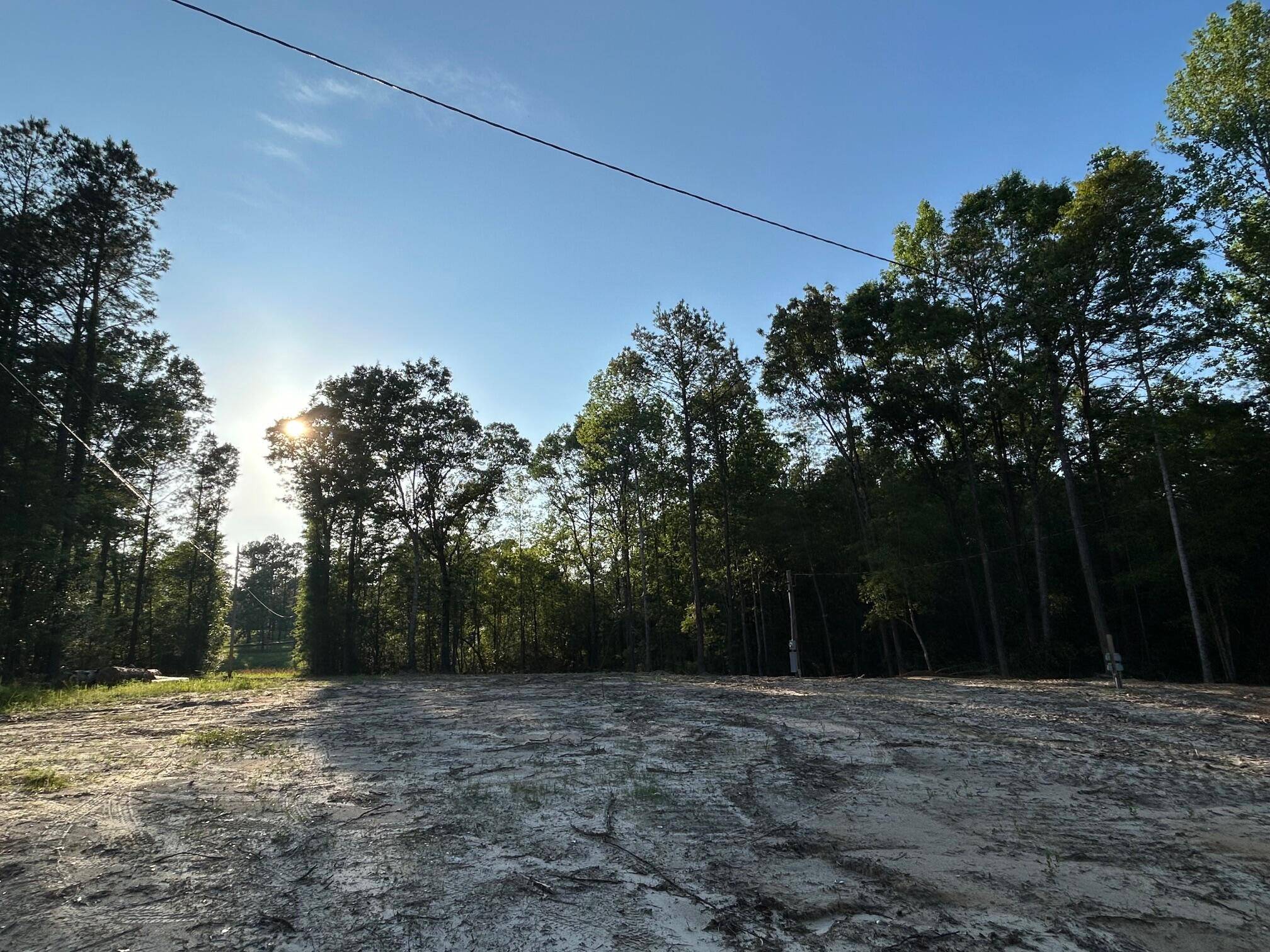 Beaumont, MS 39423,216 Forest Lake