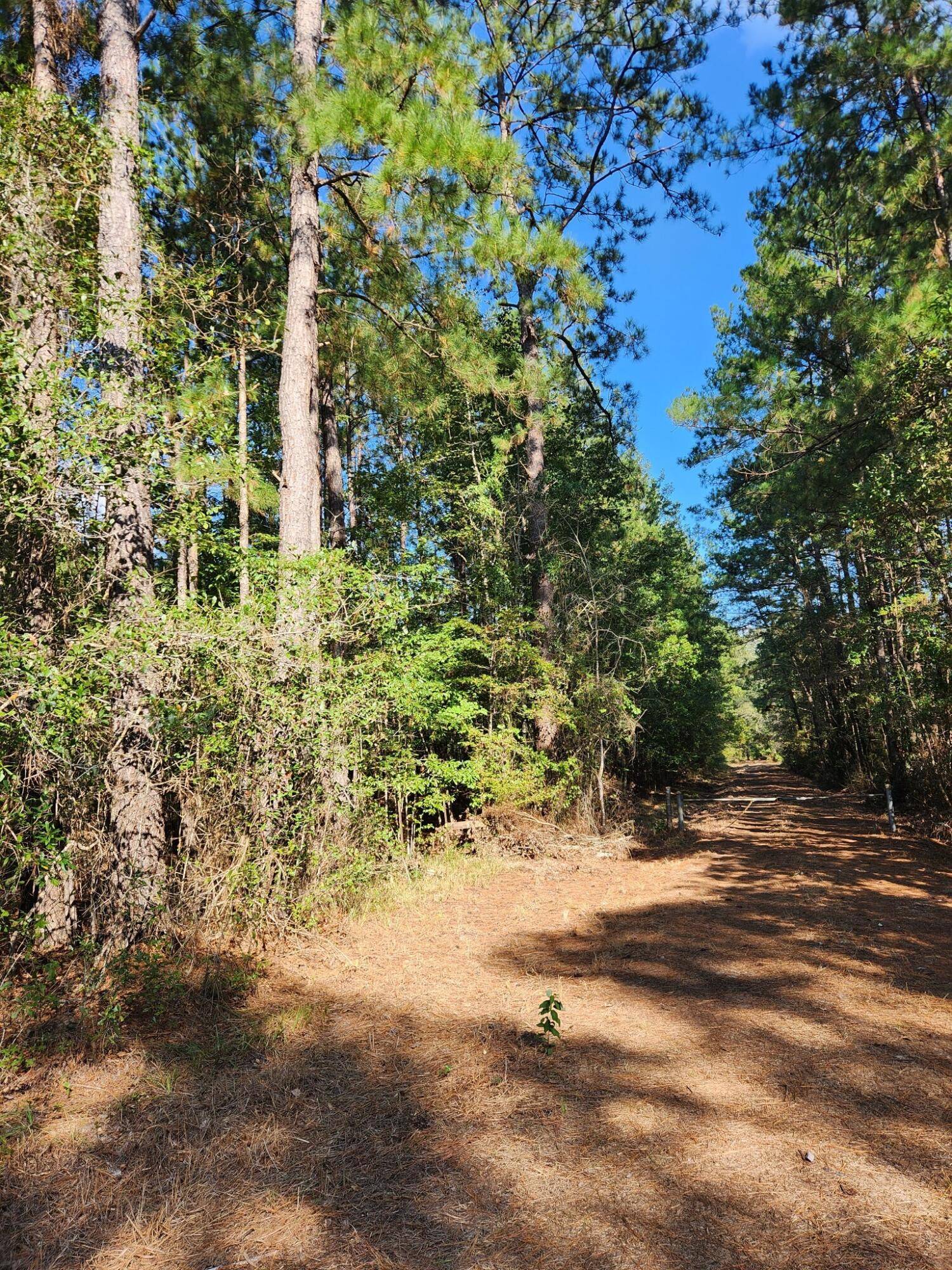 Lumberton, MS 39455,000 Johnson Rd.