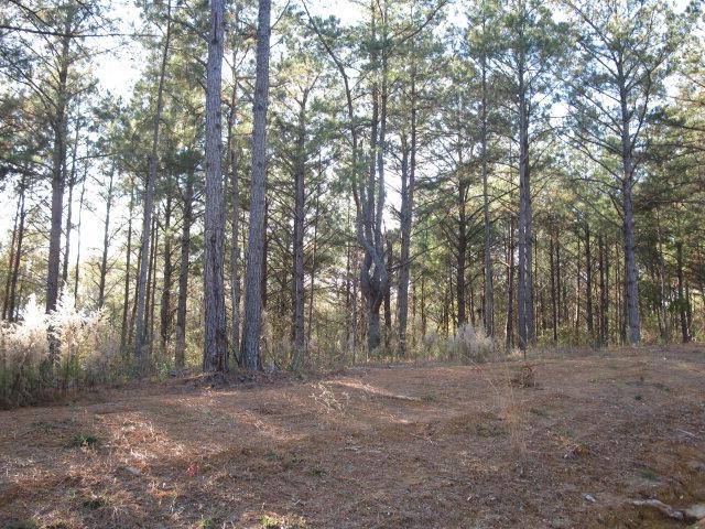 Ellisville, MS 39437,Lot 2 Parkview Estates