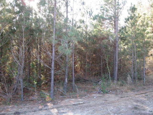 Ellisville, MS 39437,Lot 3 Parkview Estates