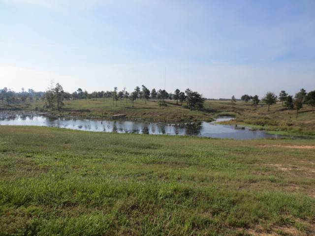 Ellisville, MS 39437,29 Highland Village Dr.
