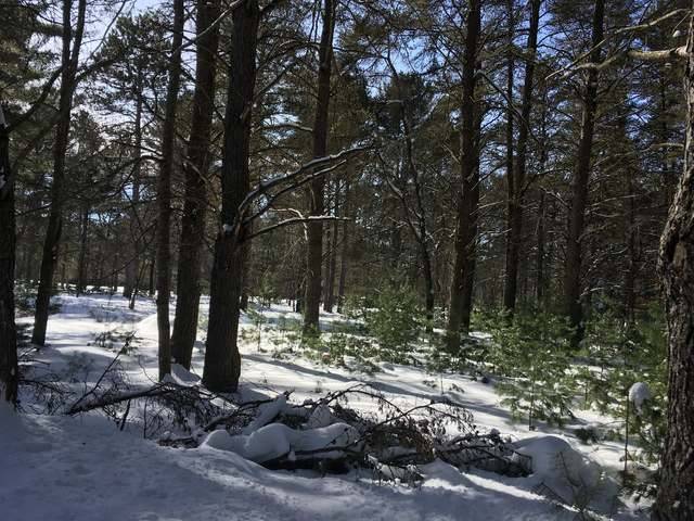WI 54548,ON FOREST DR