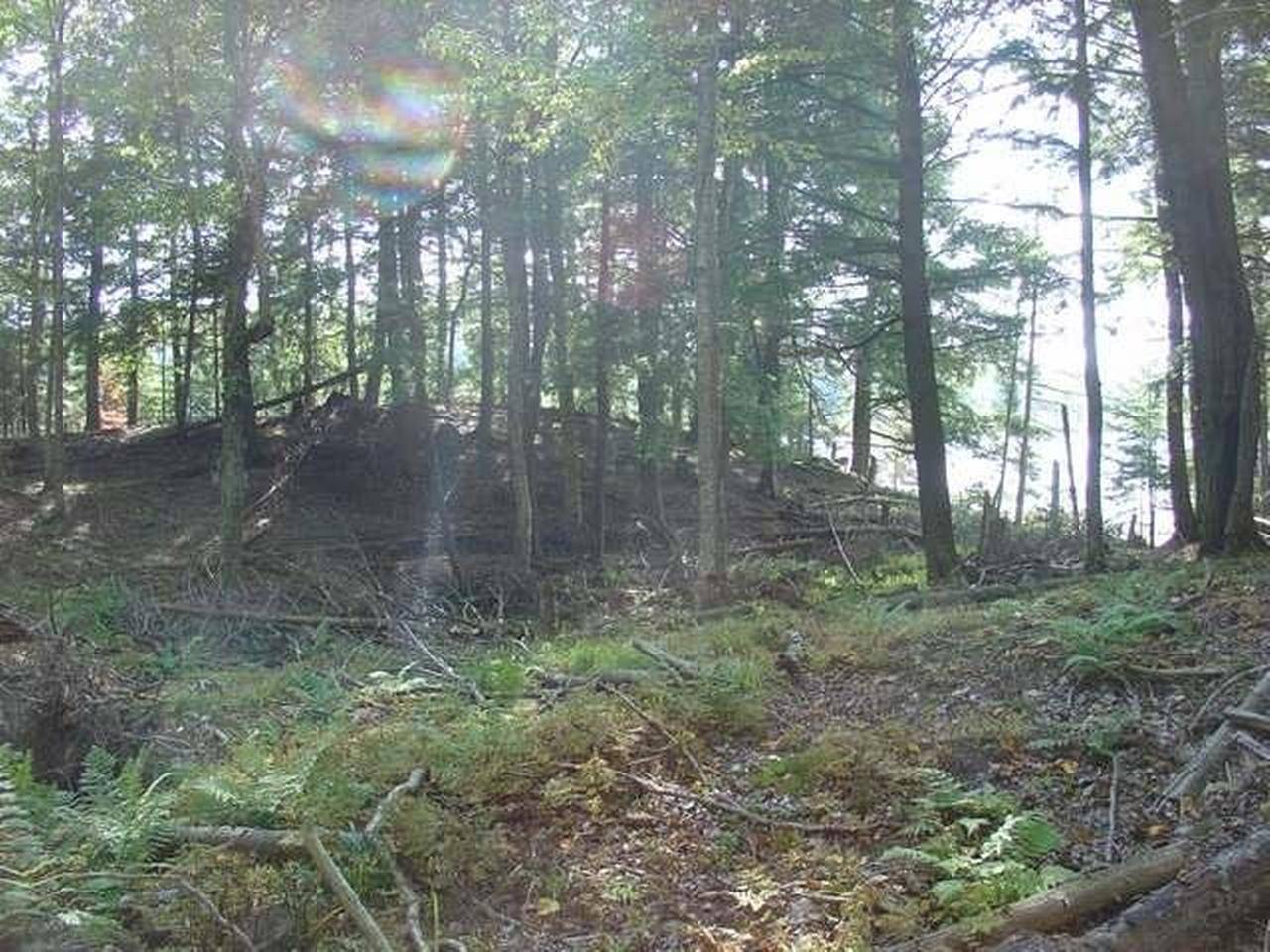 Watersmeet, MI 49969,Lot #1 CHANNEL RD