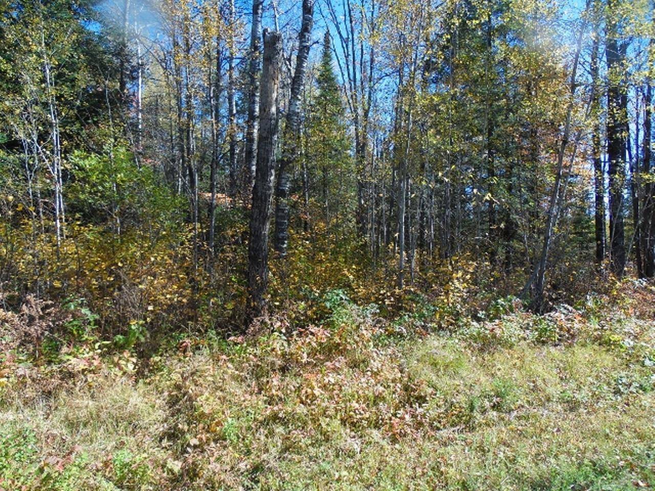WI 54564,ON WILLOW RD