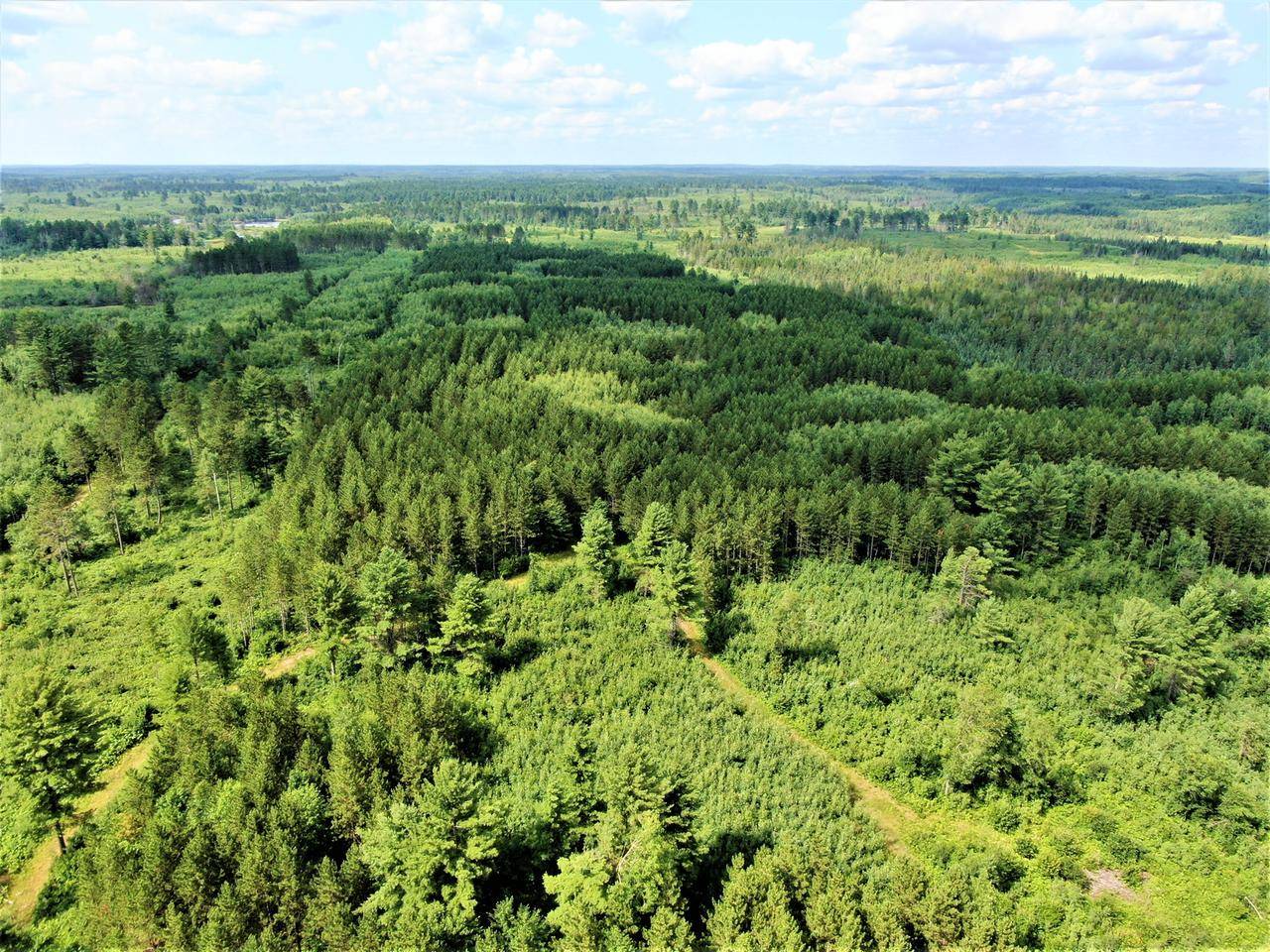 Tomahawk, WI 54487,NEAR SWAMP LAKE RD