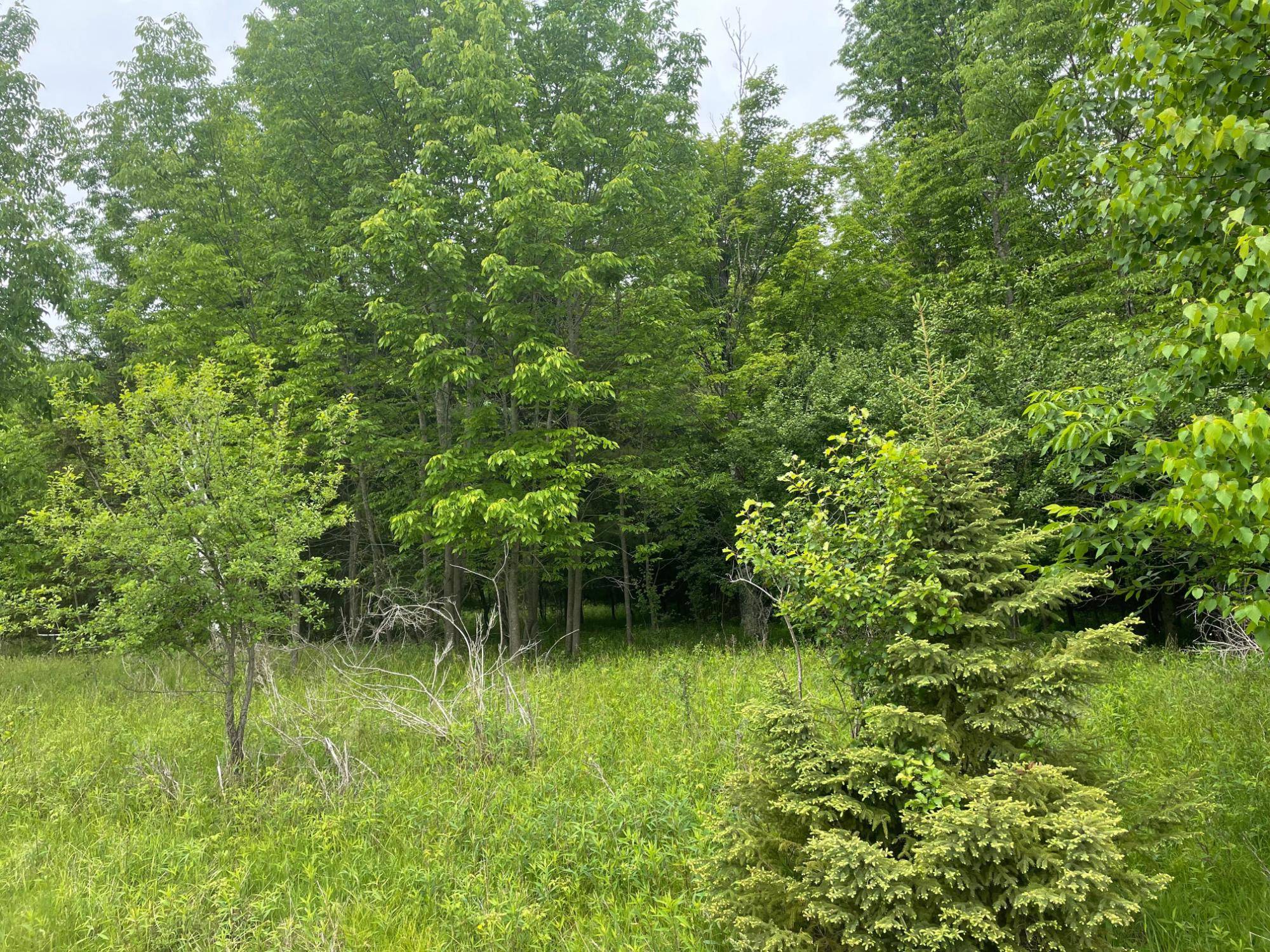 Park Falls, WI 54552,4th Add. MARGARET LN #Lot 2