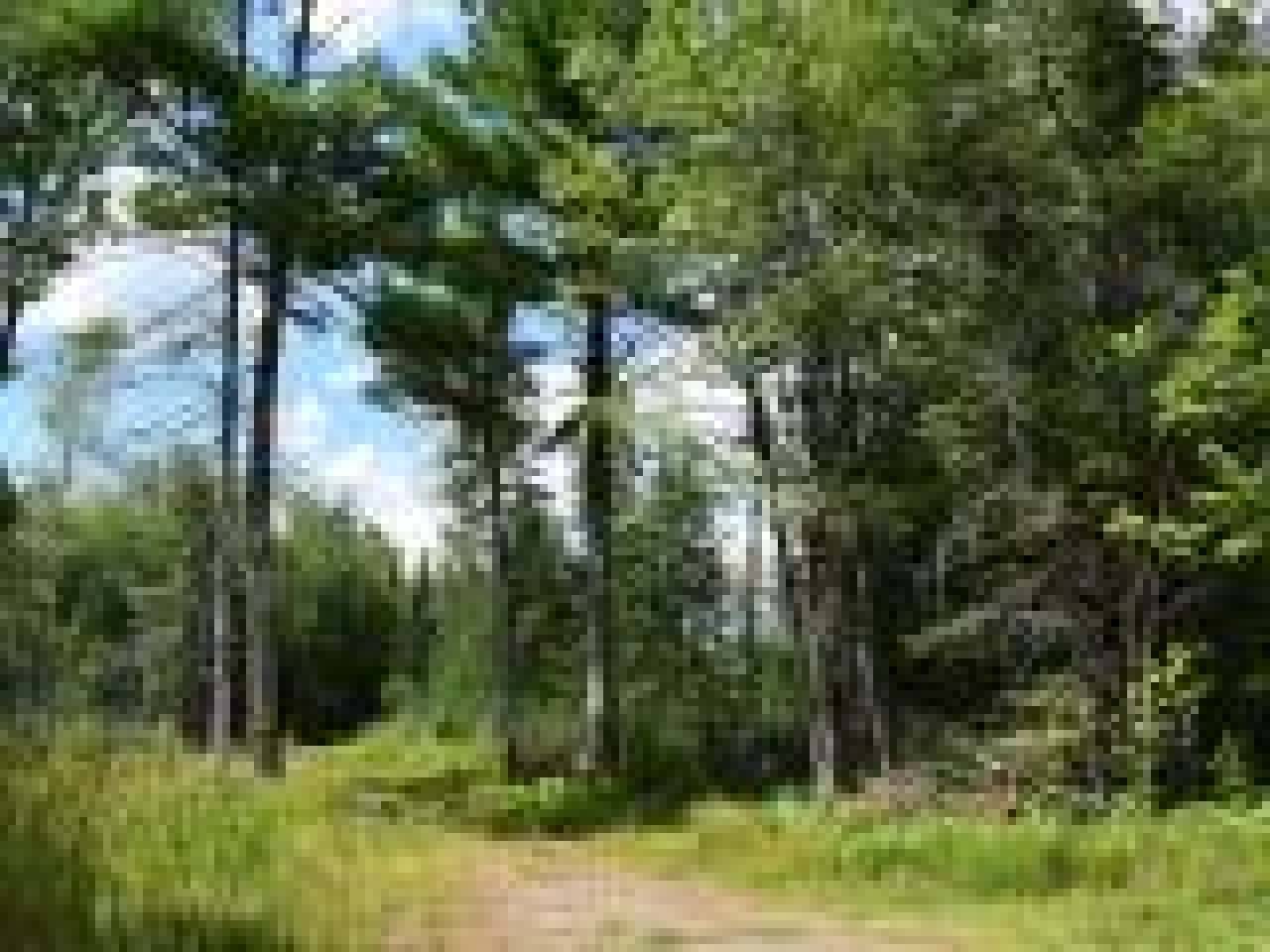 Rhinelander, WI 54501,3816 TRE FISKE RD