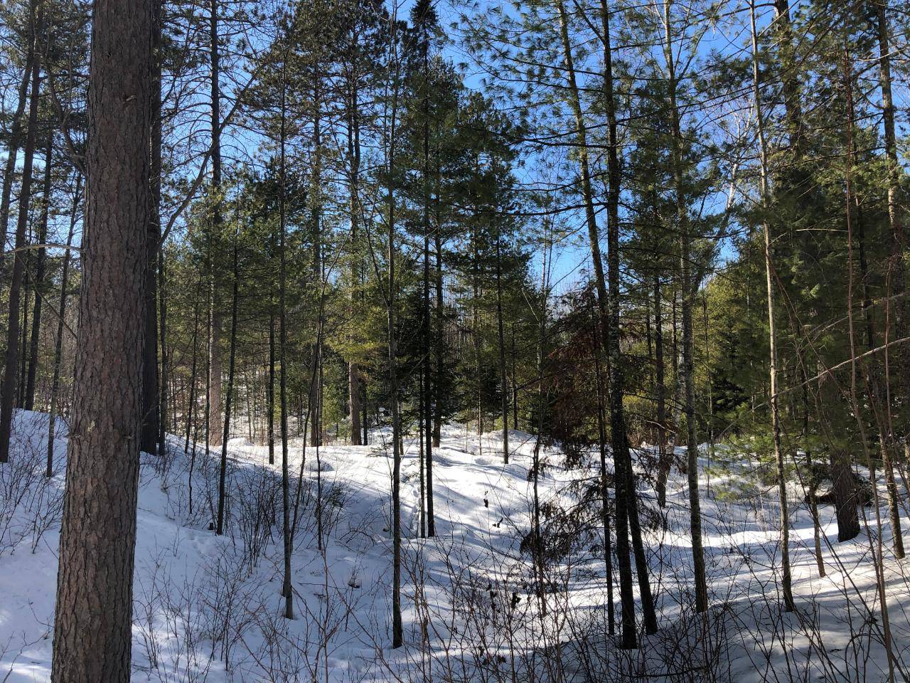 Minocqua, WI 54548,24 acres MANHARDT RD