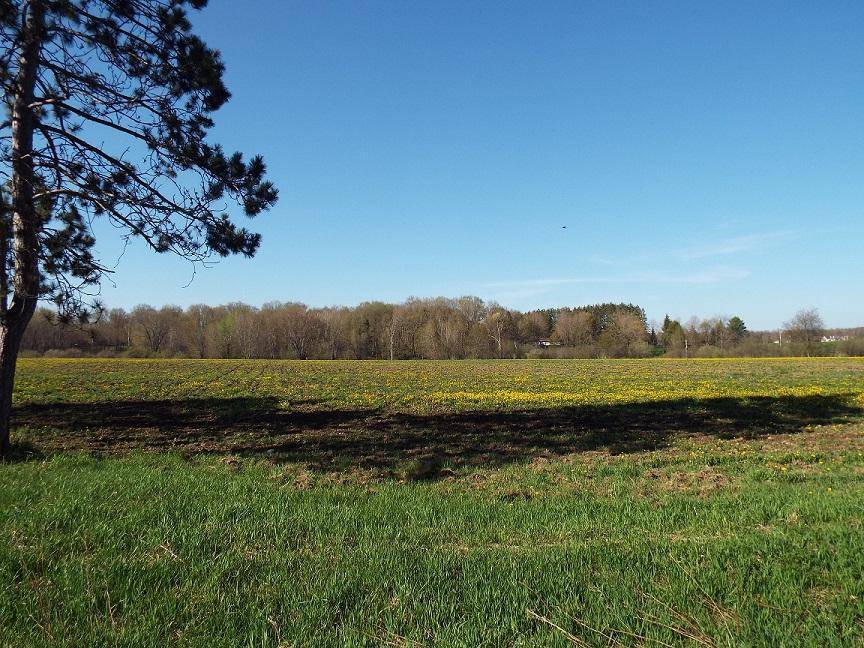 Antigo, WI 54409,ON HWY 64 #9.8 Acres