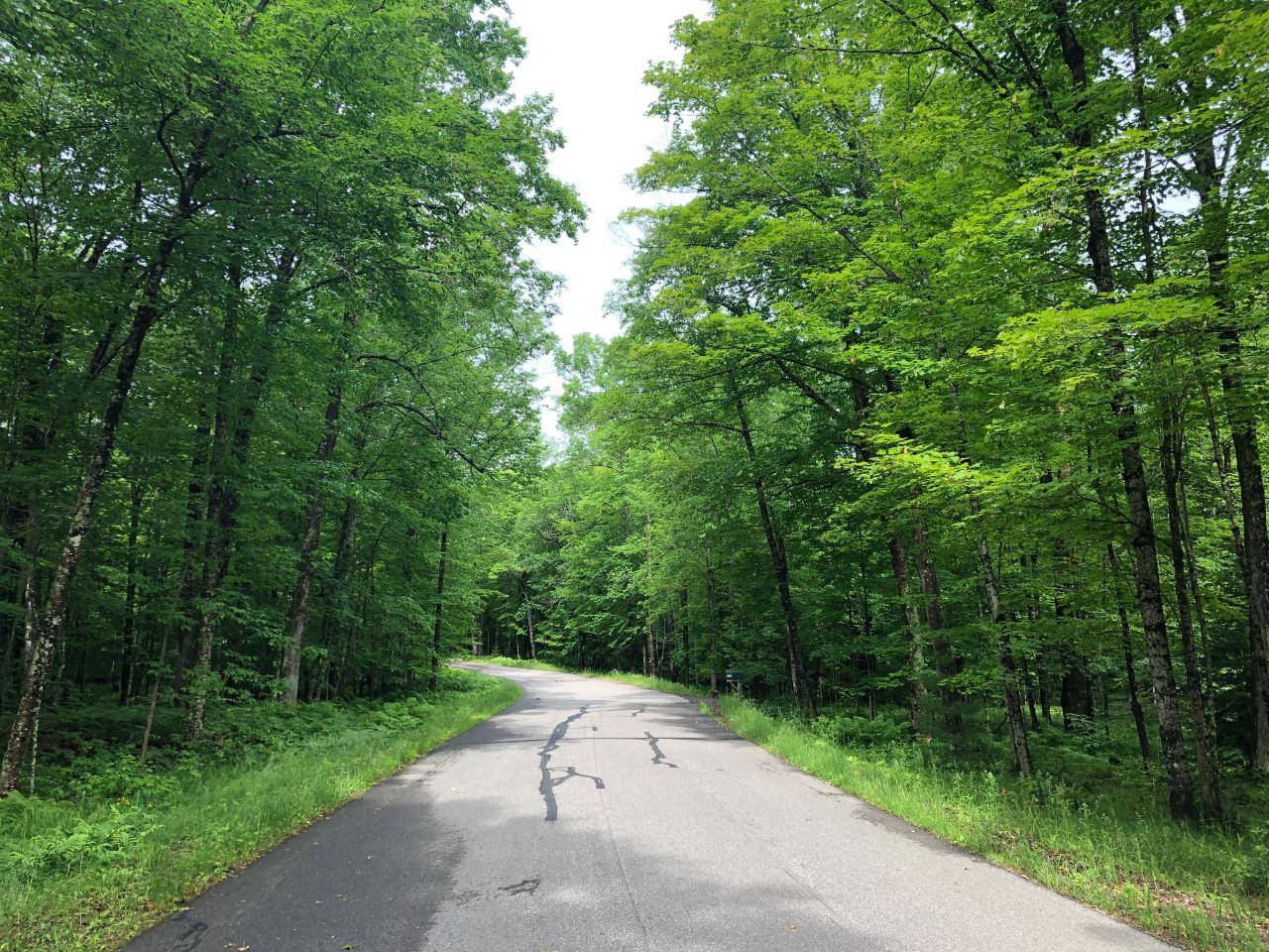 Sugar Camp, WI 54501,Lot #4 COLUMBUS LAKE RD #On