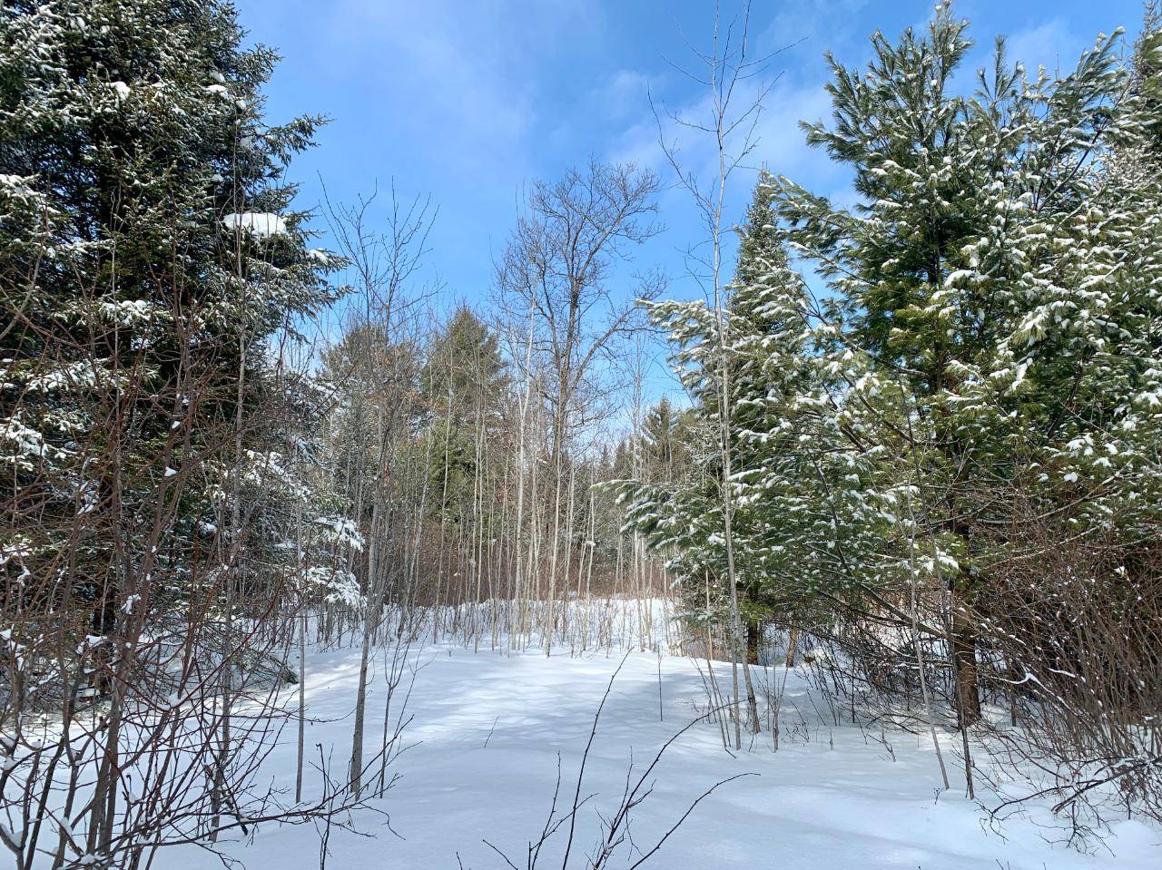 St Germain, WI 54558,ON BURNT BRIDGE TR #Lot 1