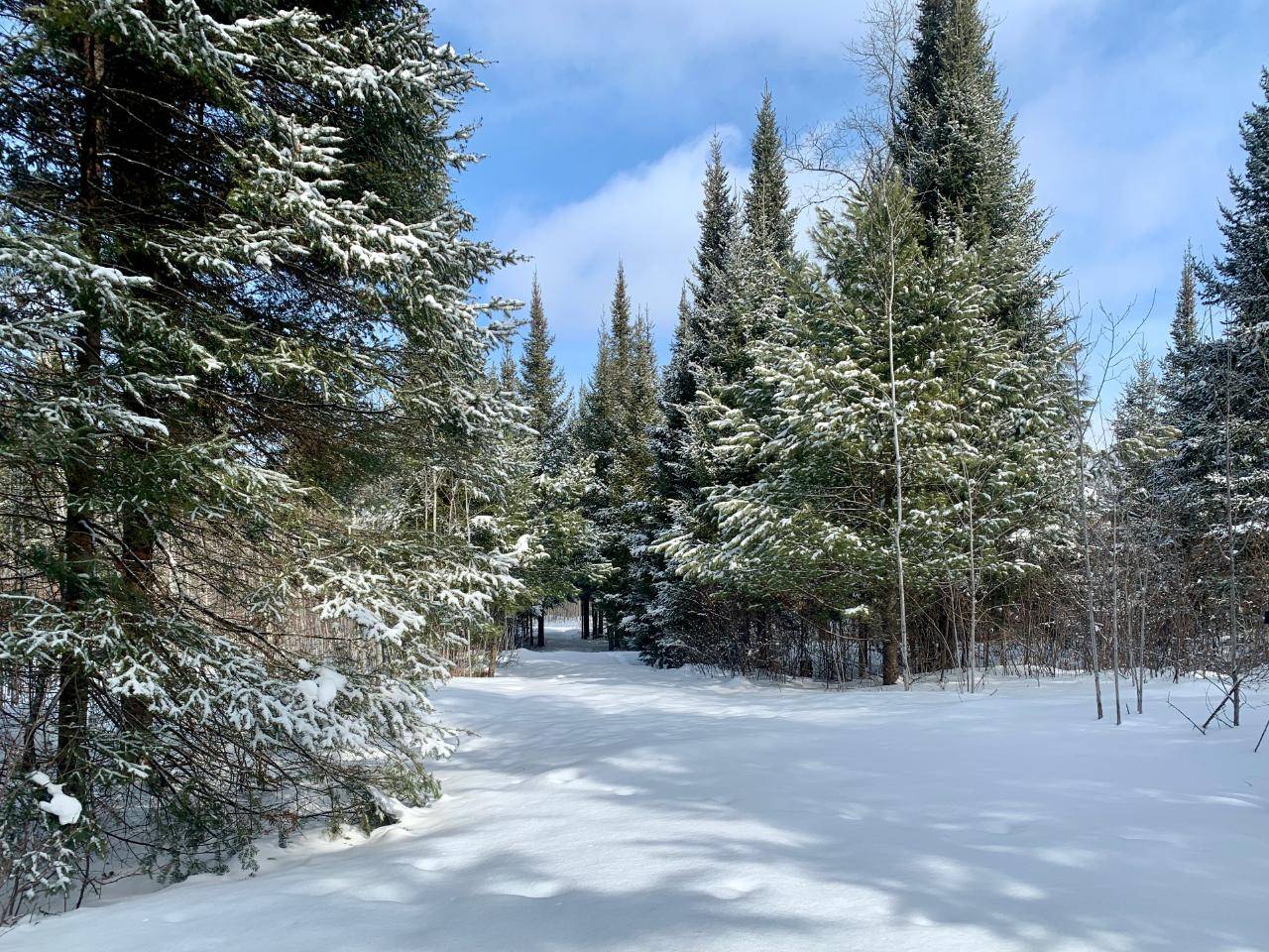 St Germain, WI 54558,ON BURNT BRIDGE TR #Lot 1