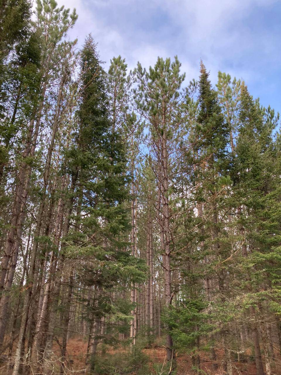 WI 54520,ON KALATA RD
