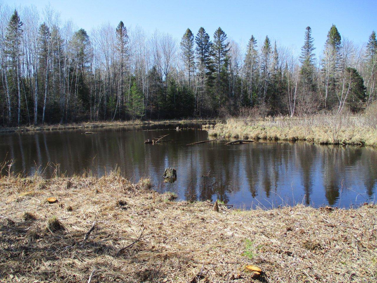 Fifield, WI 54524,ON WOODDUCK DR #Lot 23